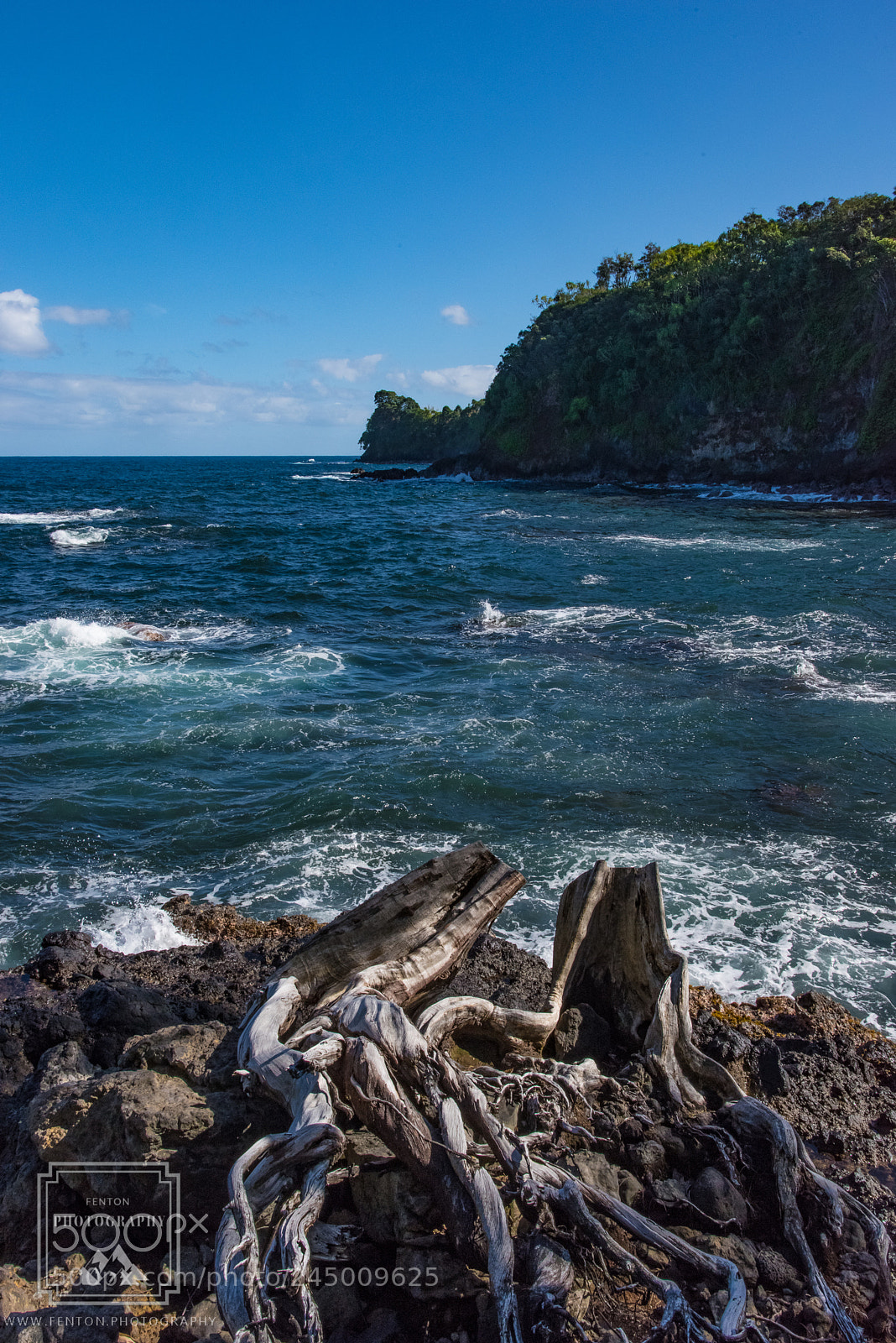 Pentax K-1 sample photo. Crab cove hawaii photography