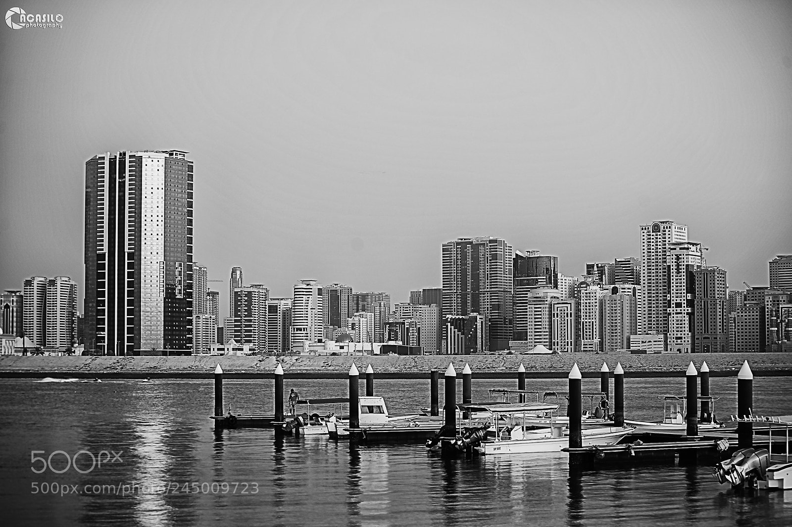 Nikon D700 sample photo. Water and city photography
