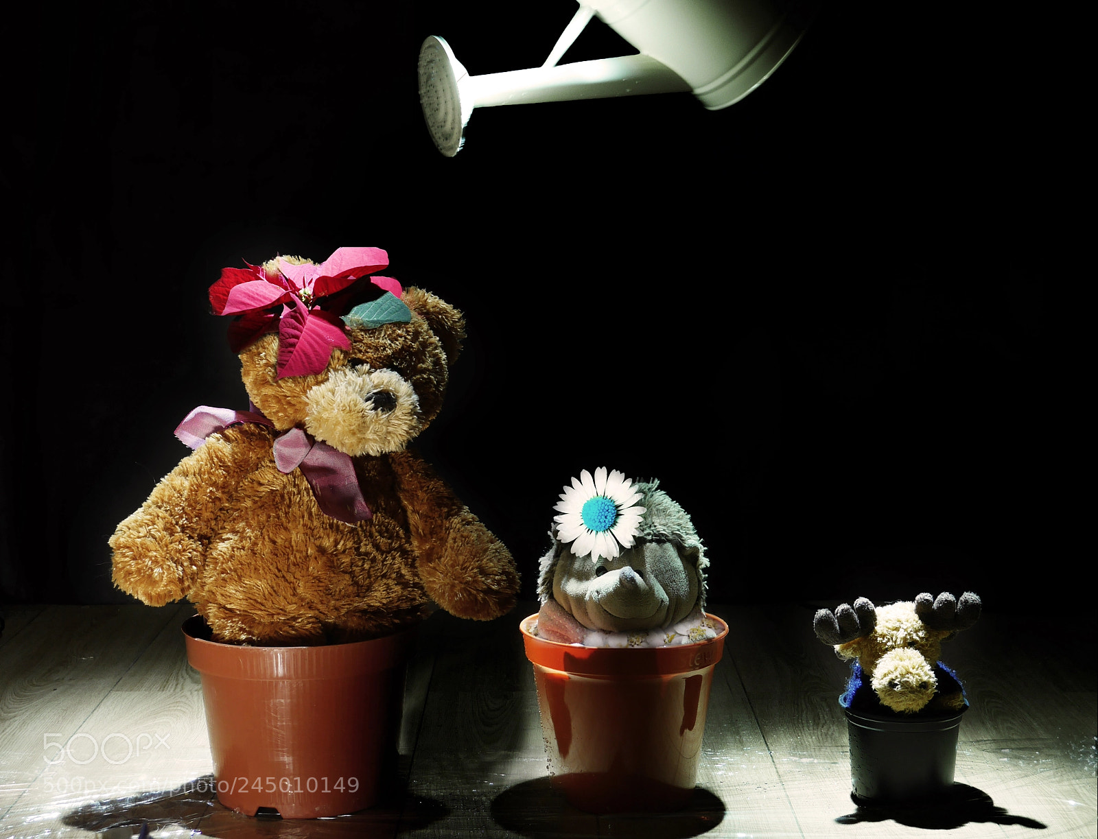 Panasonic Lumix DMC-GX7 sample photo. Let's grow! photography