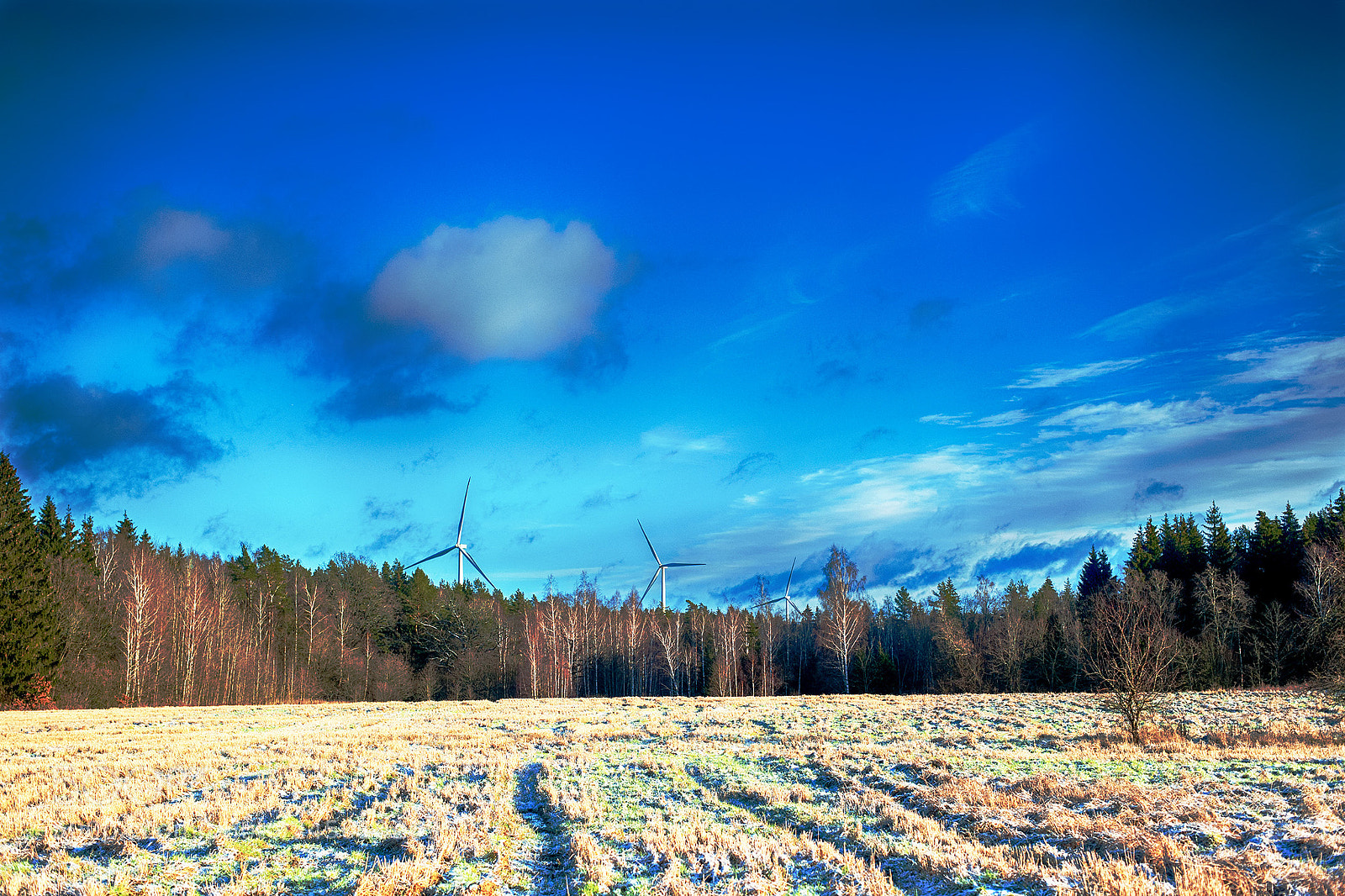 Nikon D3 sample photo. In the fields photography