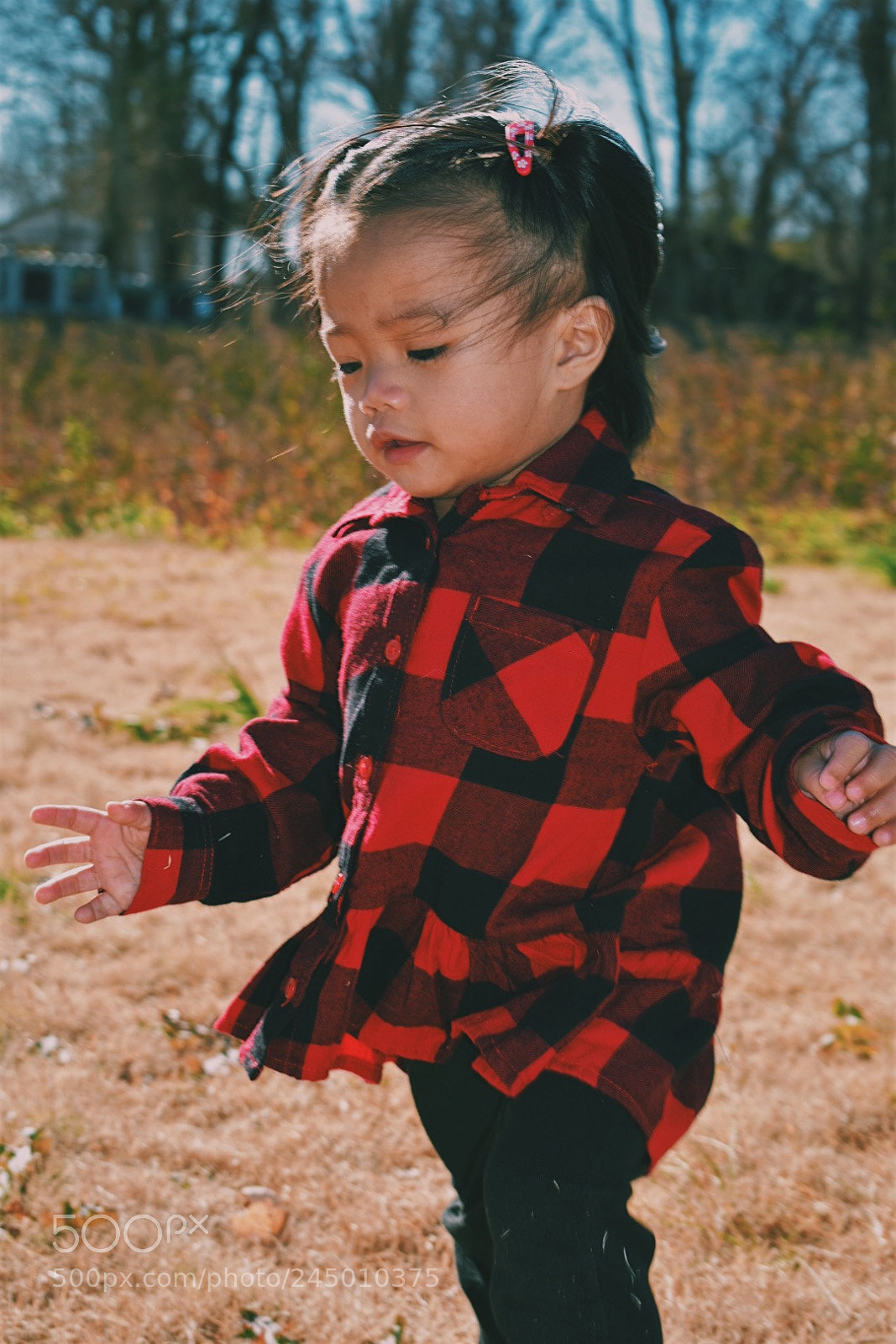 Nikon D3400 sample photo. Untitled photography