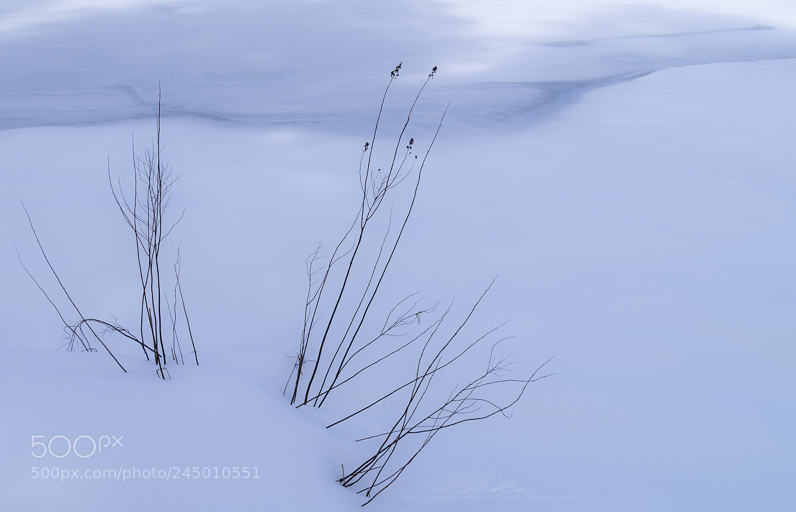 Pentax K-5 sample photo. Simplicity photography