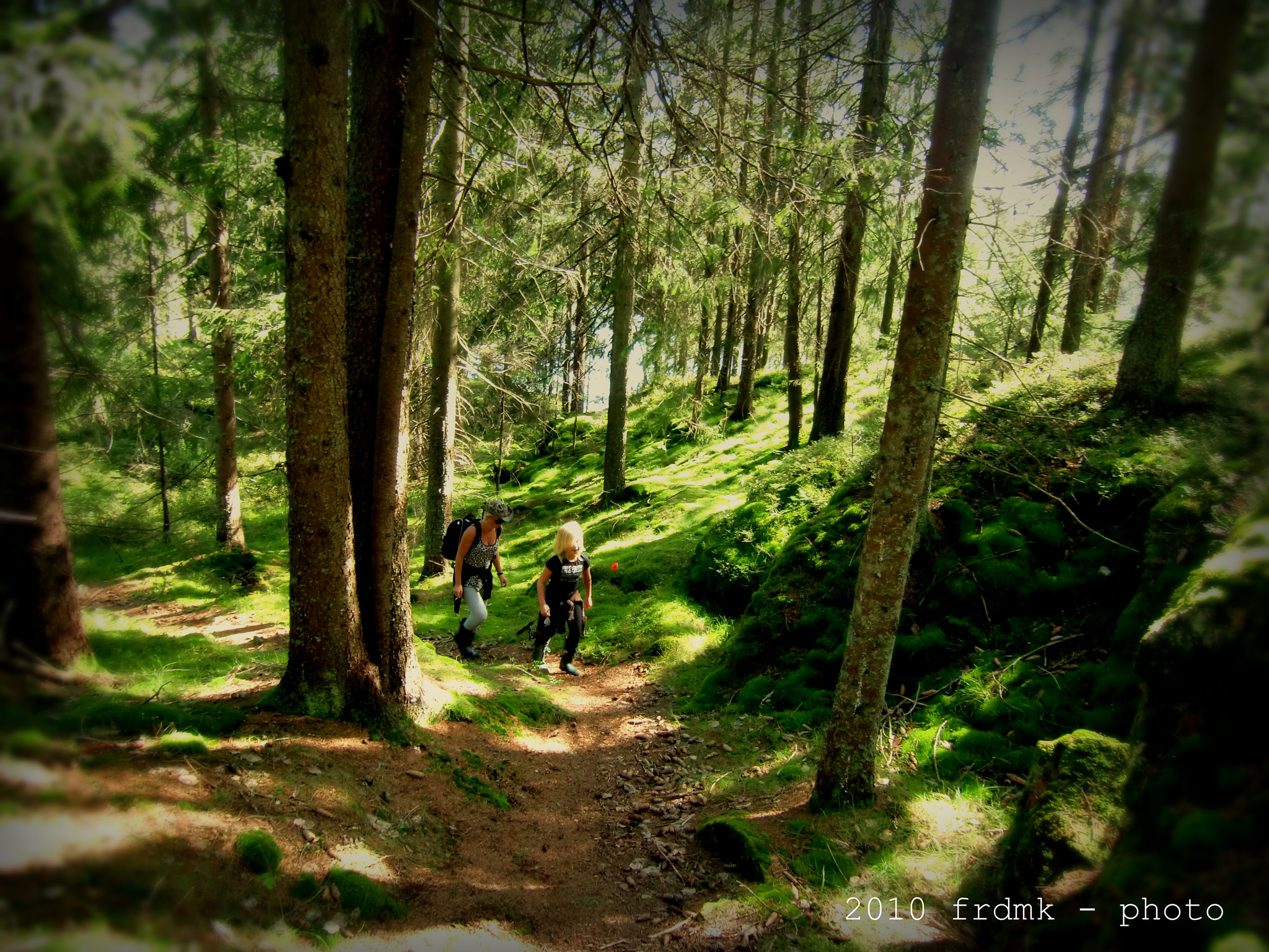 CASIO EX-H10 sample photo. Tracking in the forest photography