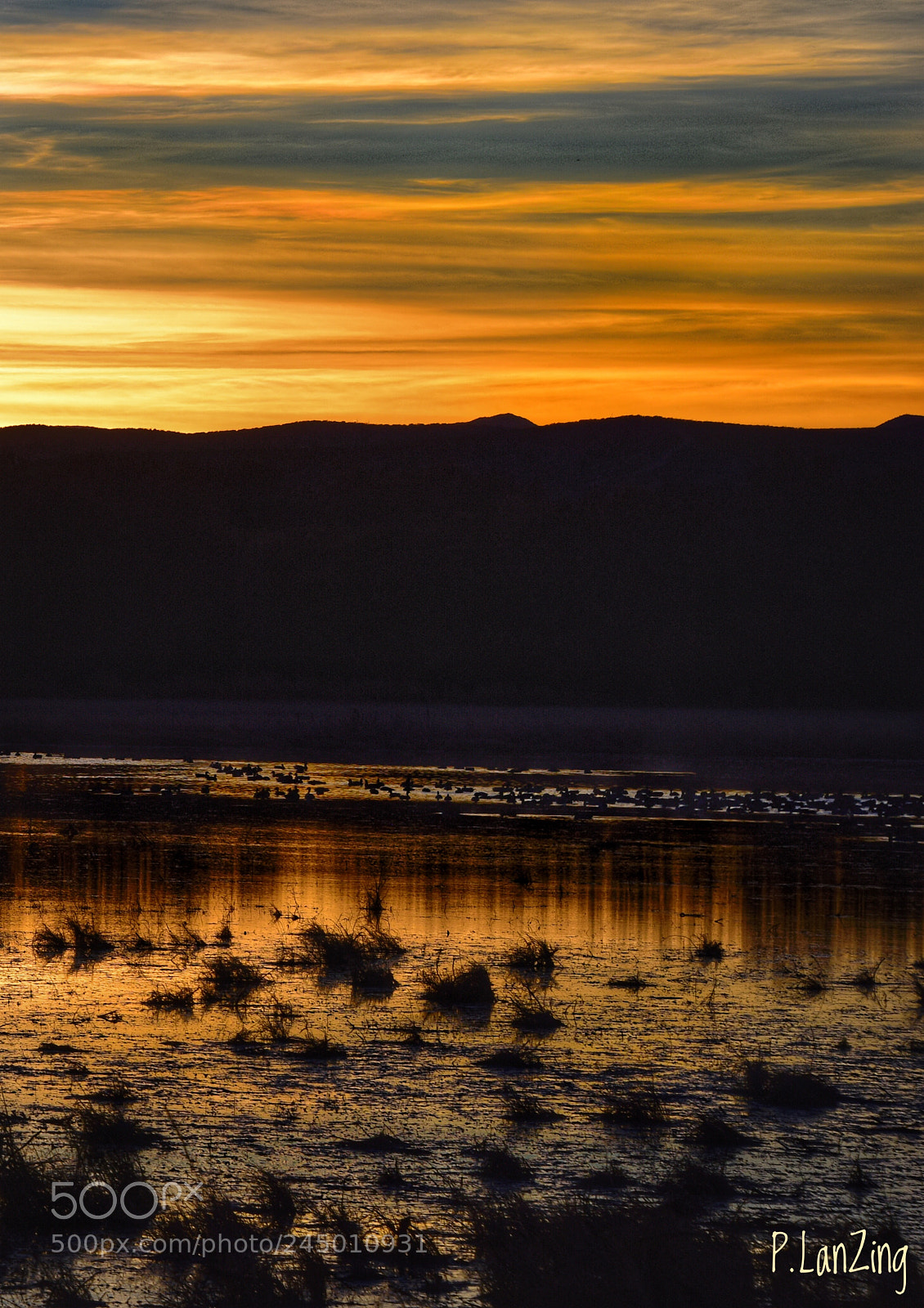 Nikon D810 sample photo. Wetlands sunset, new mexico photography
