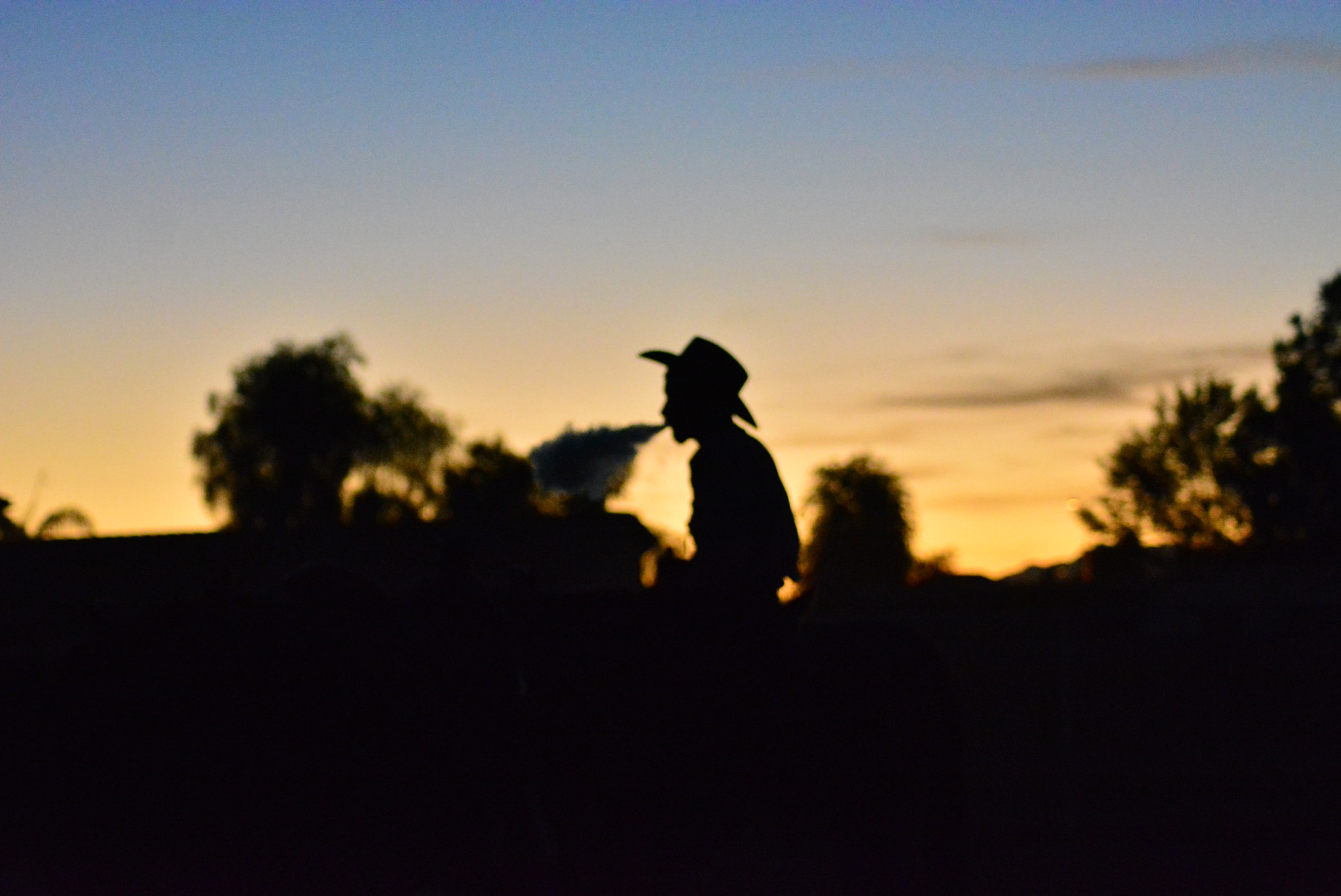 AF Zoom-Nikkor 70-300mm f/4-5.6D ED sample photo. Vapes and the arizona twilight photography