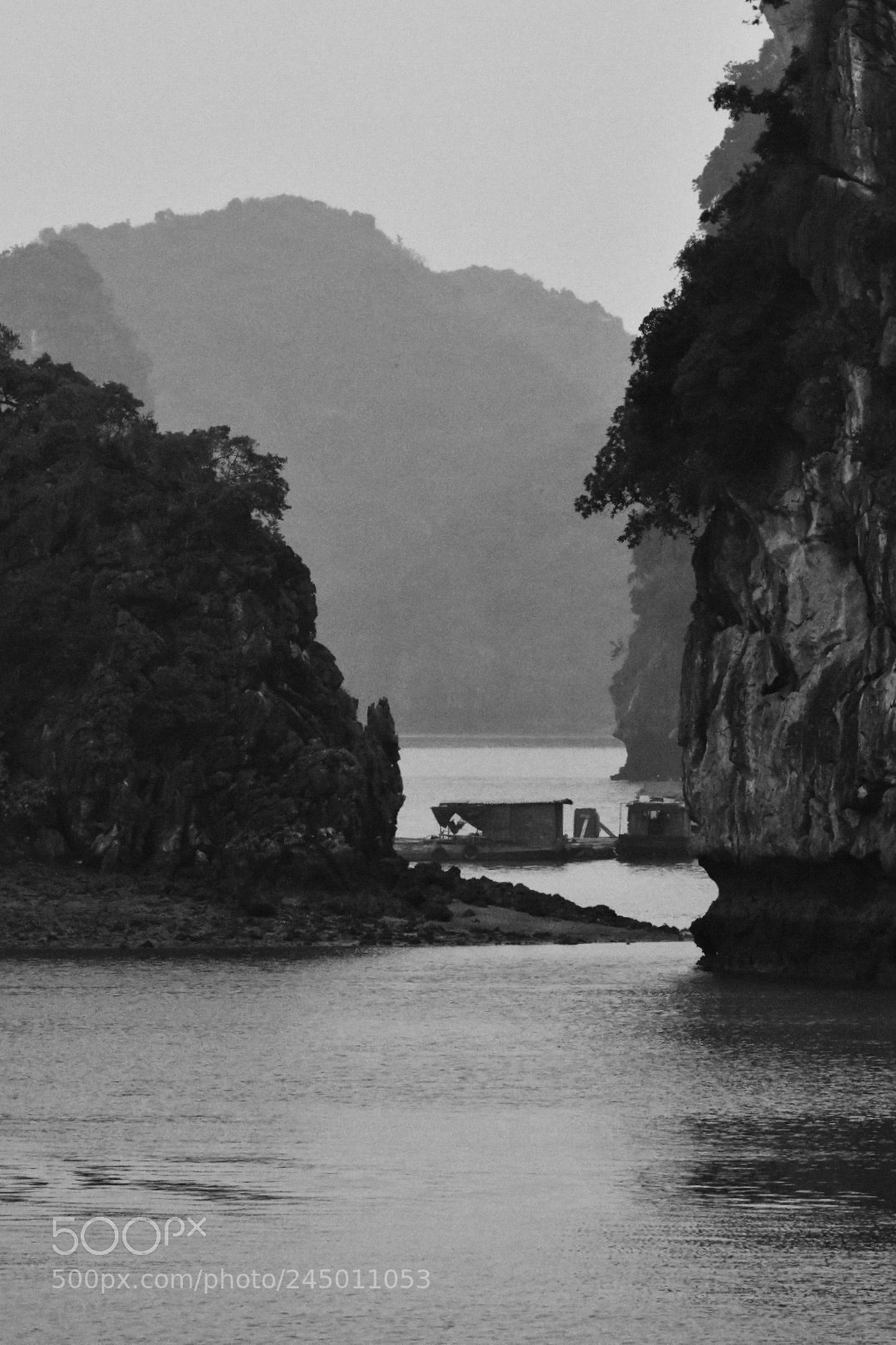 Nikon D850 sample photo. Shades of grey. photography