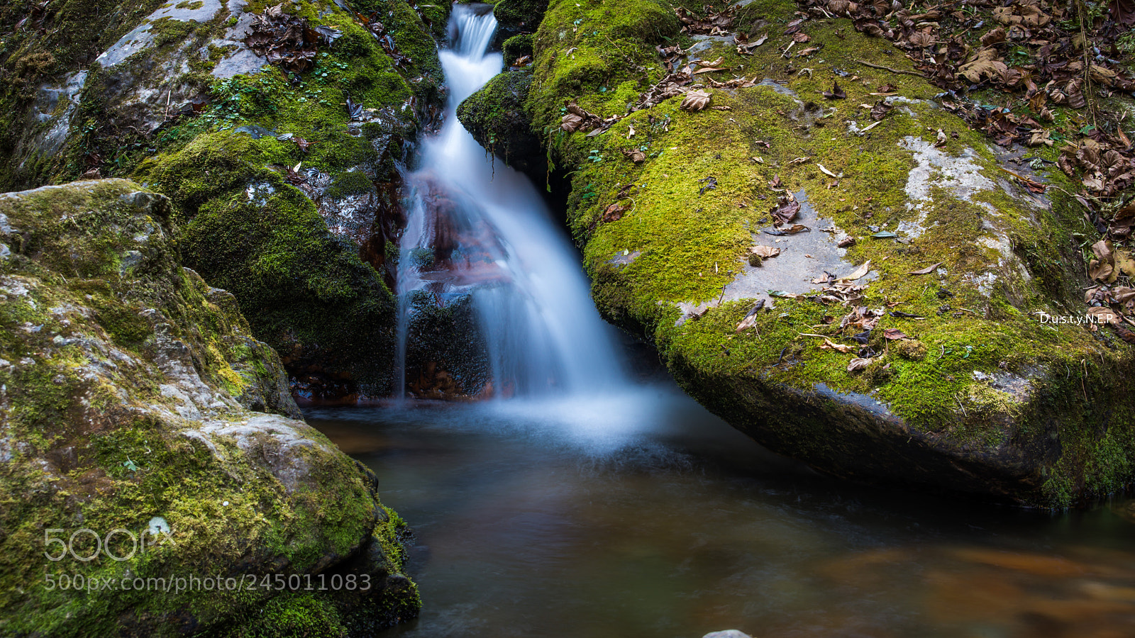 Nikon D610 sample photo. Flow photography