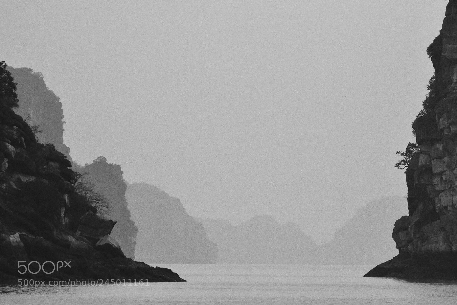 Nikon D850 sample photo. Shades of gray. photography