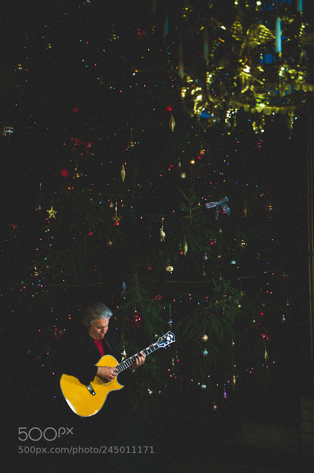 Nikon D700 sample photo. Doyle dykes photography