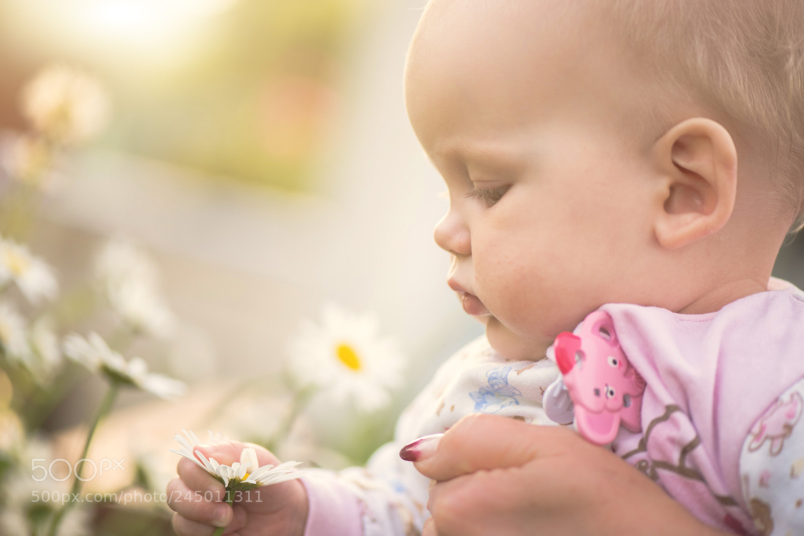 Nikon D810 sample photo. Small baby girl holding photography