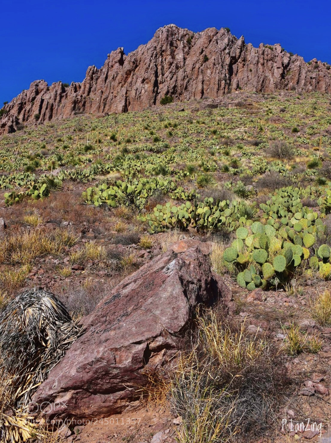 Nikon D810 sample photo. Florida mountains, new mexico photography