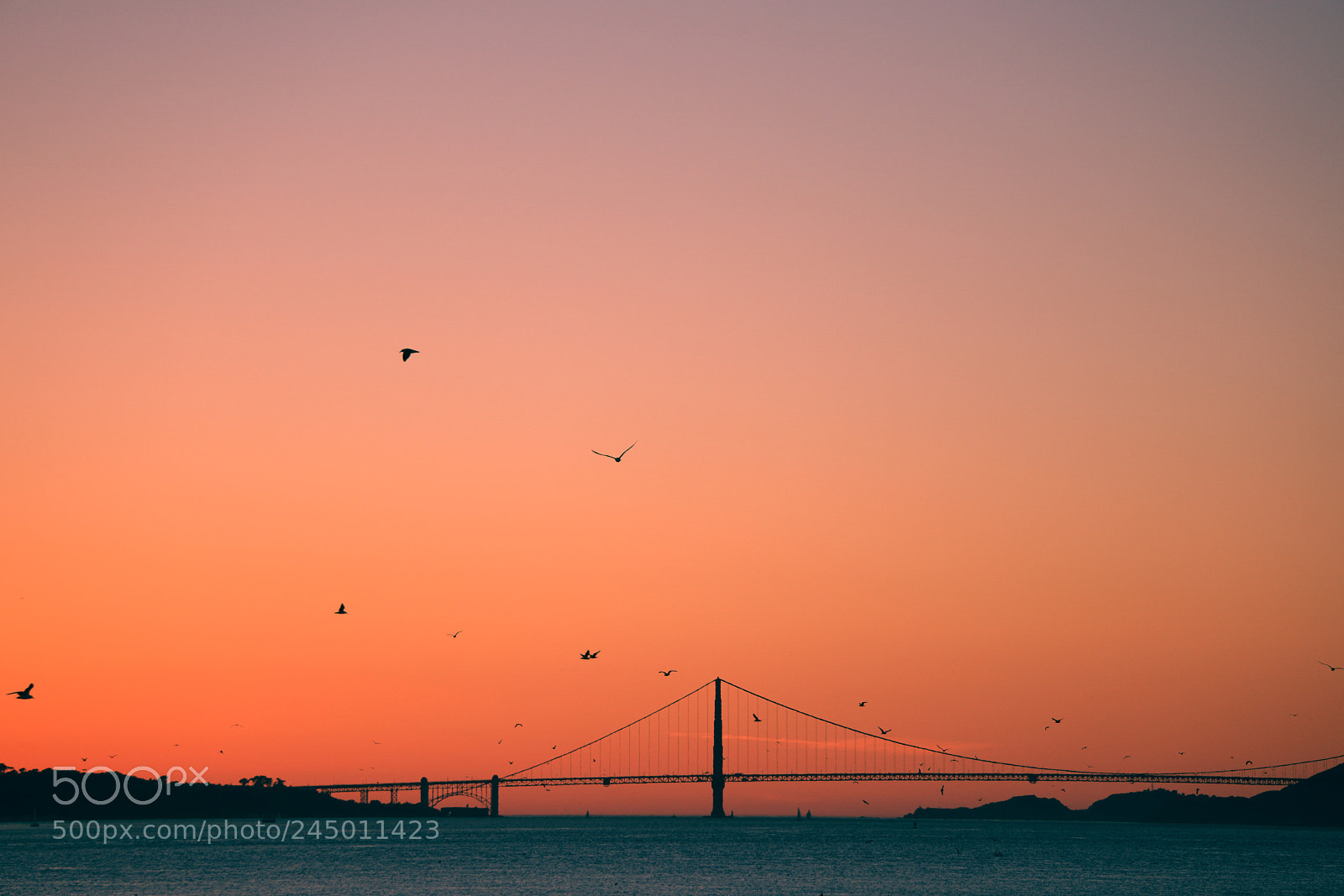 Sony a6300 sample photo. Golden gate #4 photography