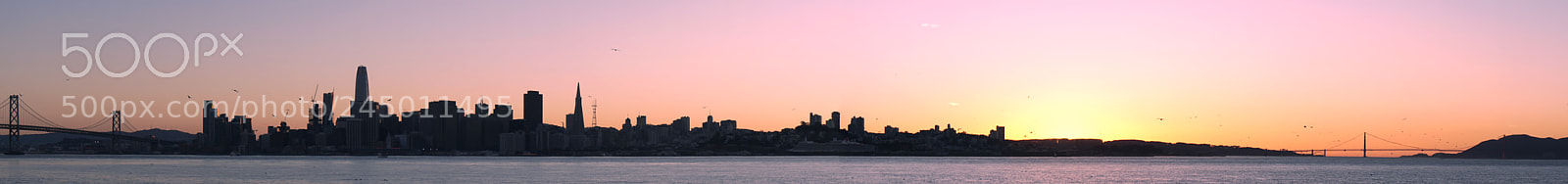Sony a6300 sample photo. Sf skyline #2 photography