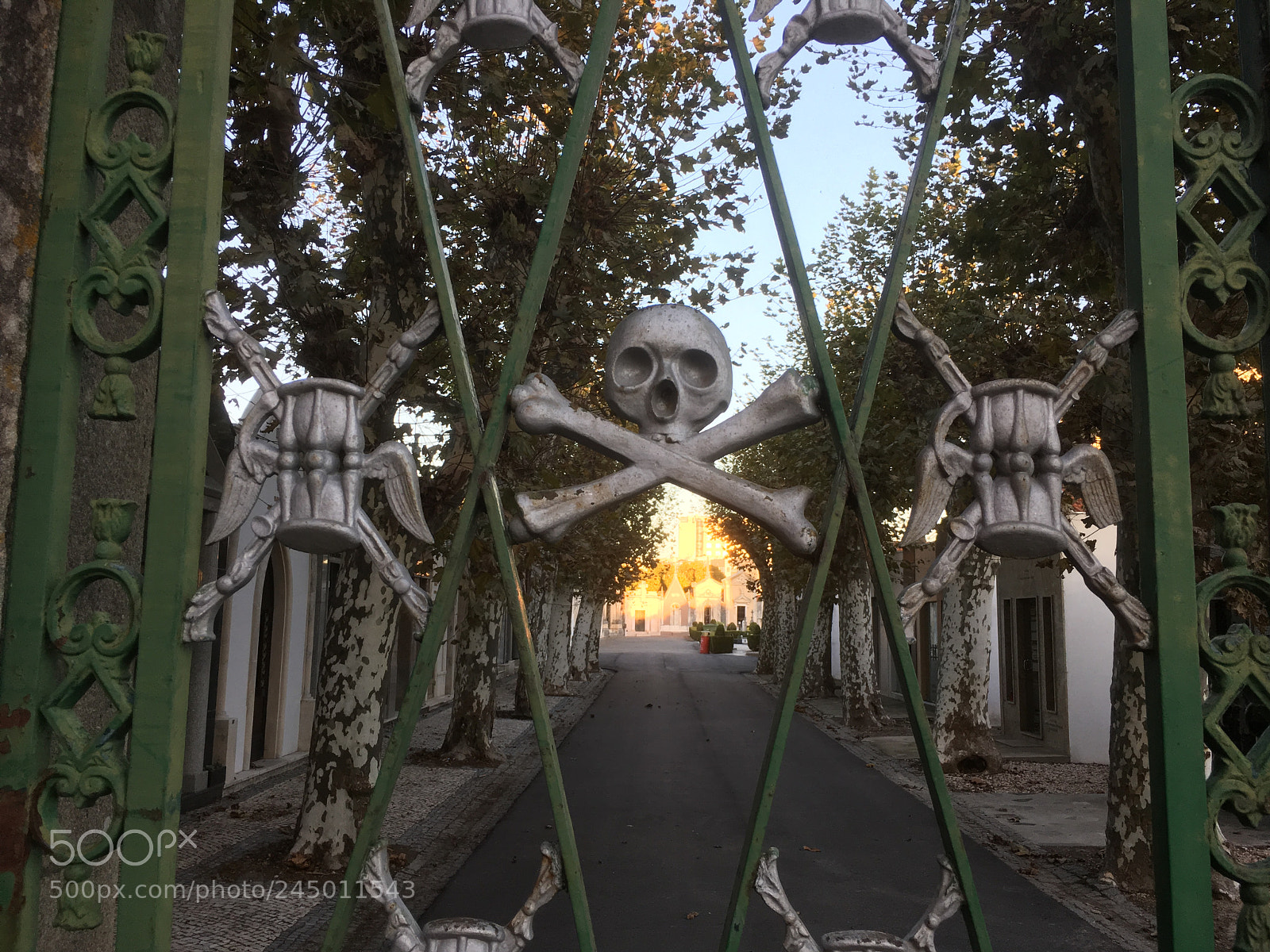 Apple iPhone SE sample photo. Cemetery gates photography
