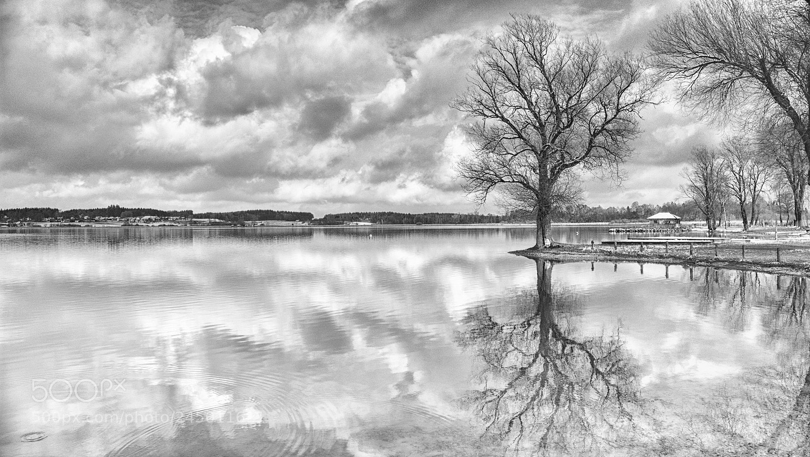 Panasonic Lumix DMC-FZ1000 sample photo. Am chiemsee bw photography