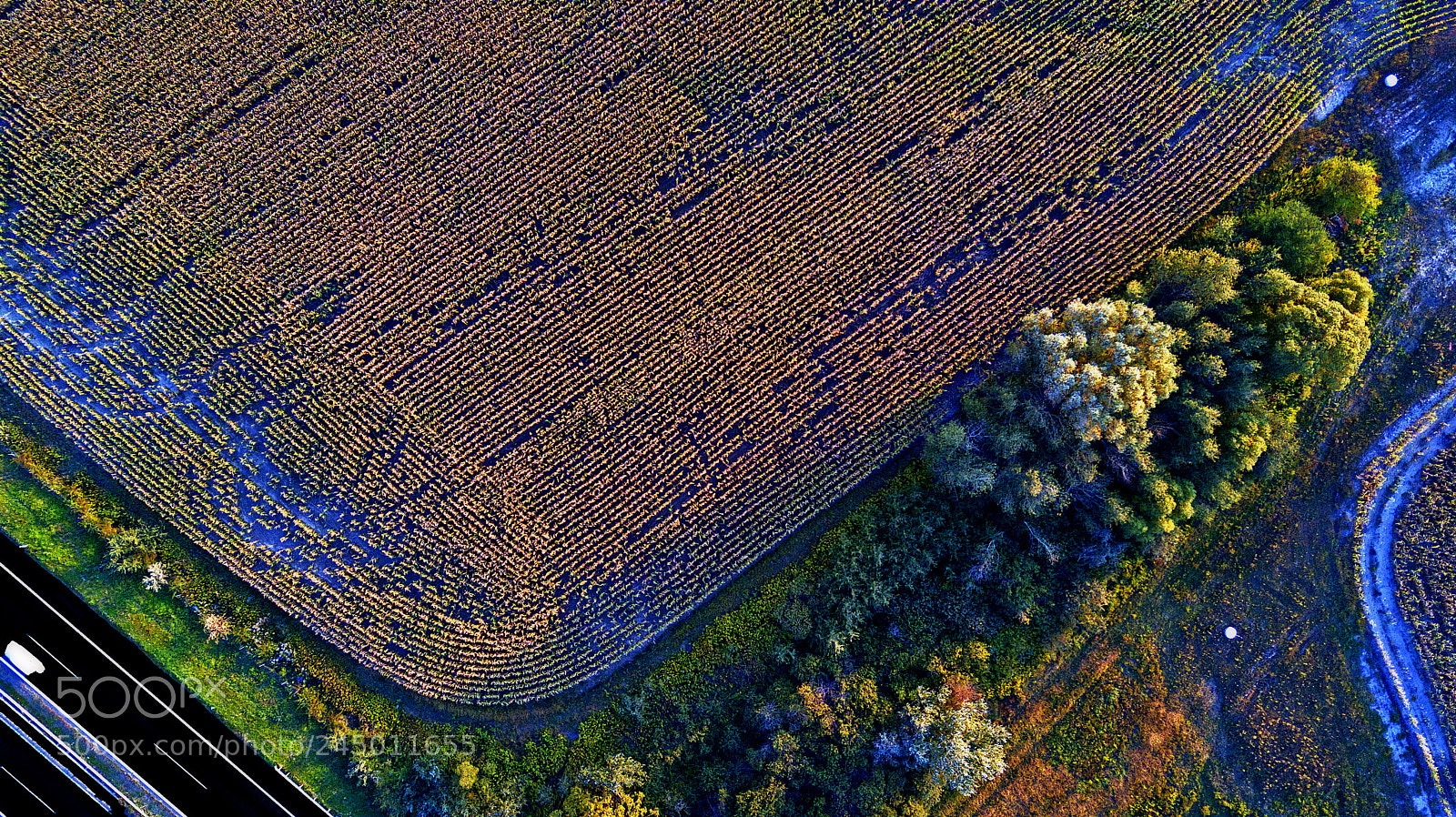 DJI FC220 sample photo. Field photography