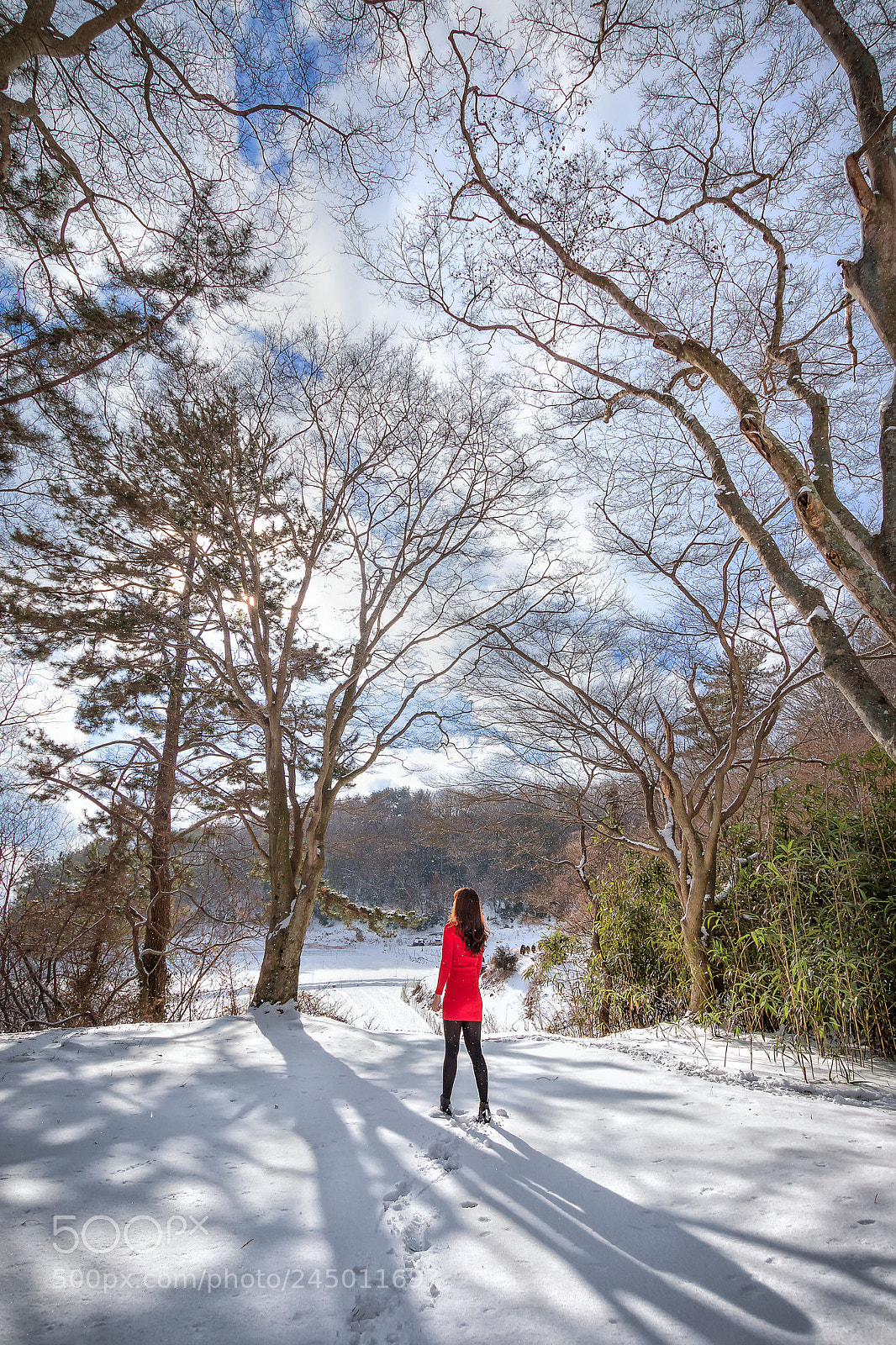 Canon EOS 7D Mark II sample photo. Red photography