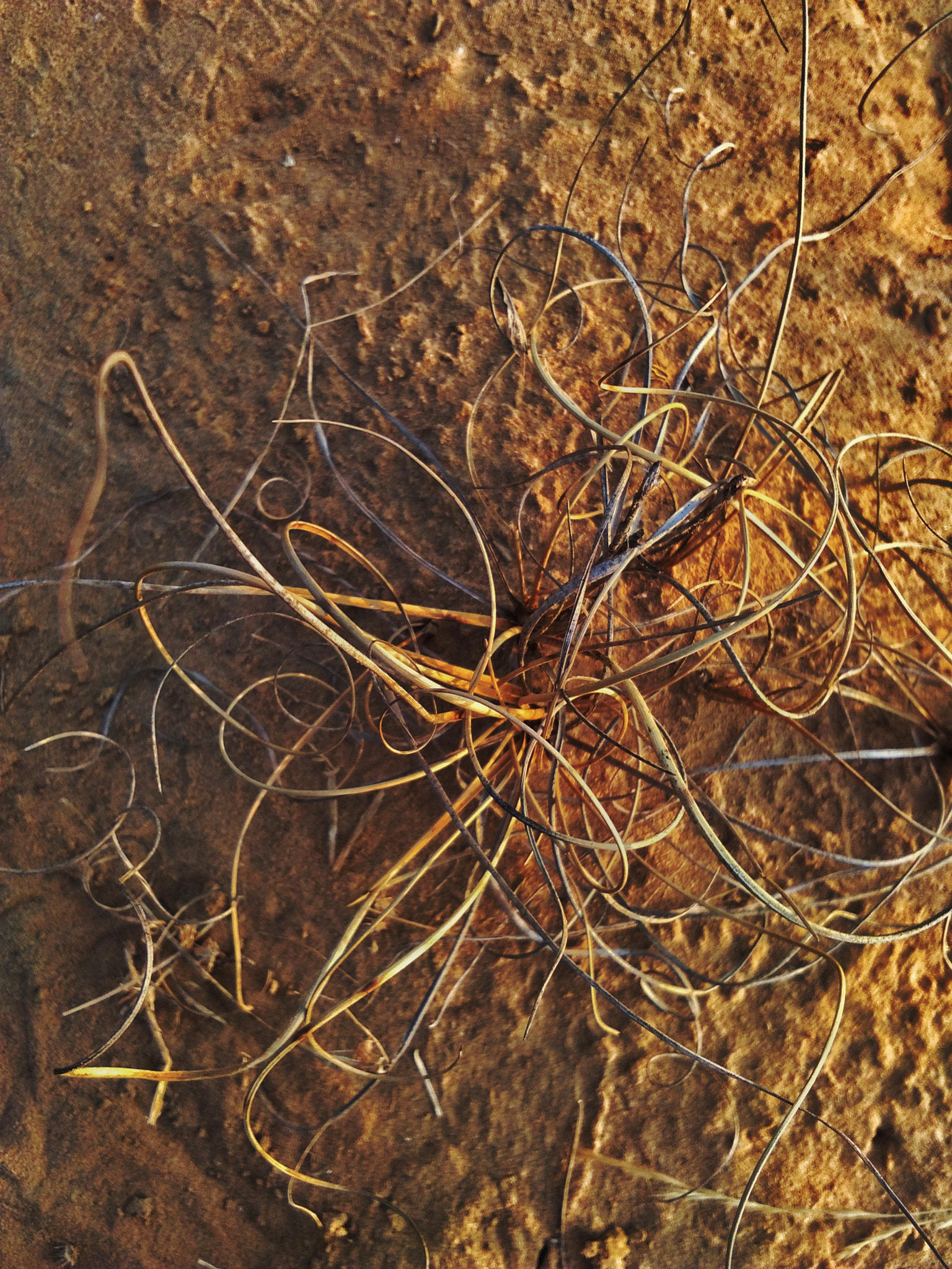 vivo Y53 sample photo. Complicated photography