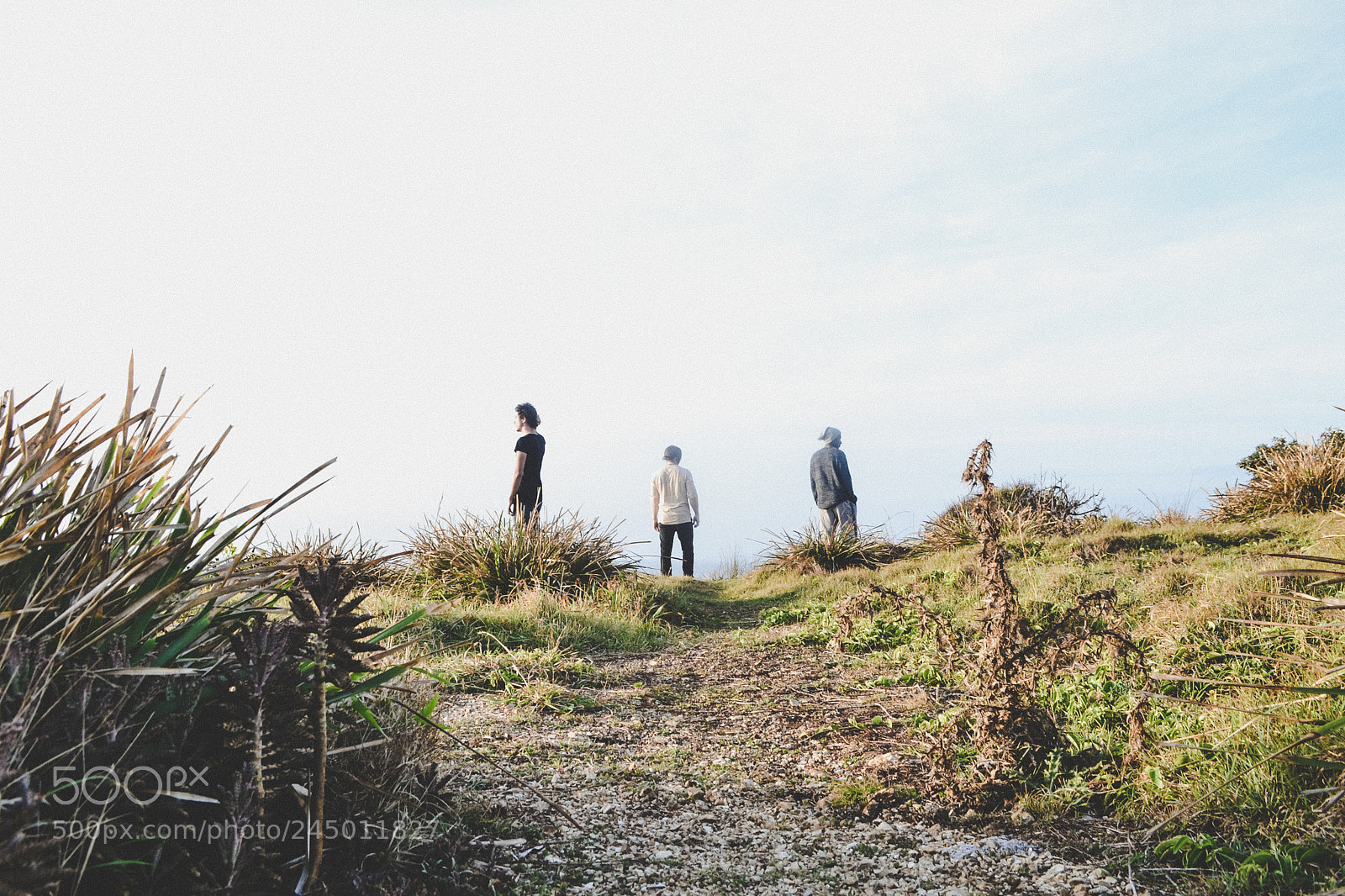 Nikon D3100 sample photo. Untitled photography