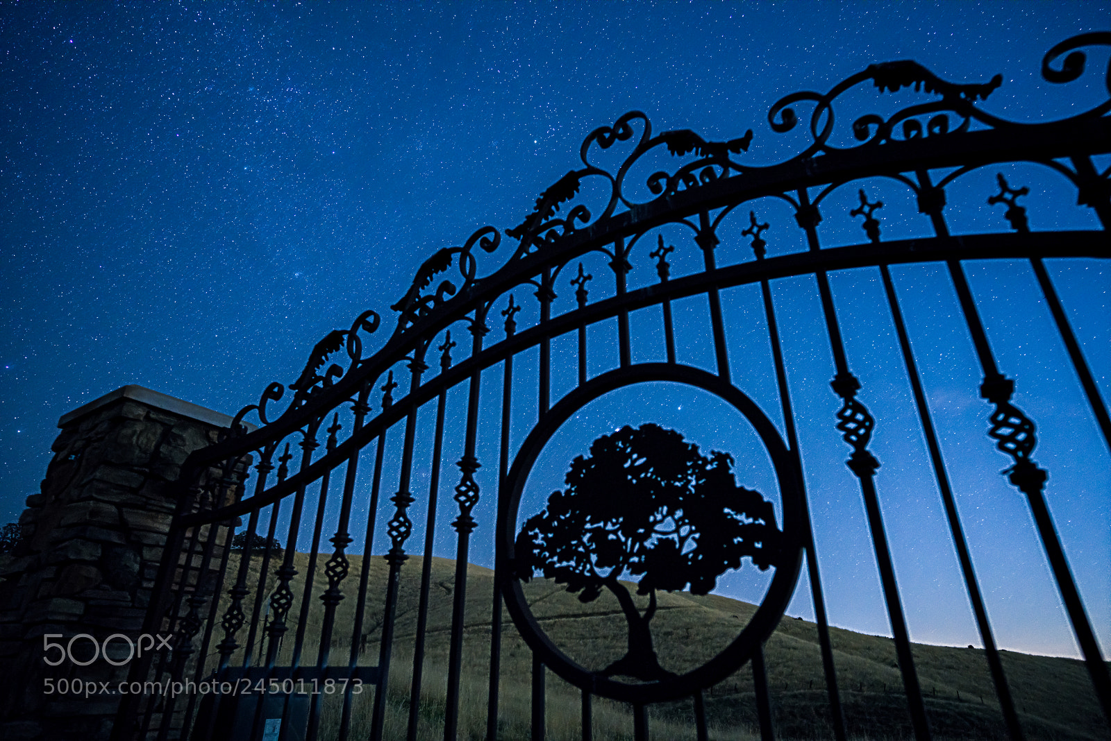 Sony a7R II sample photo. Stargate photography