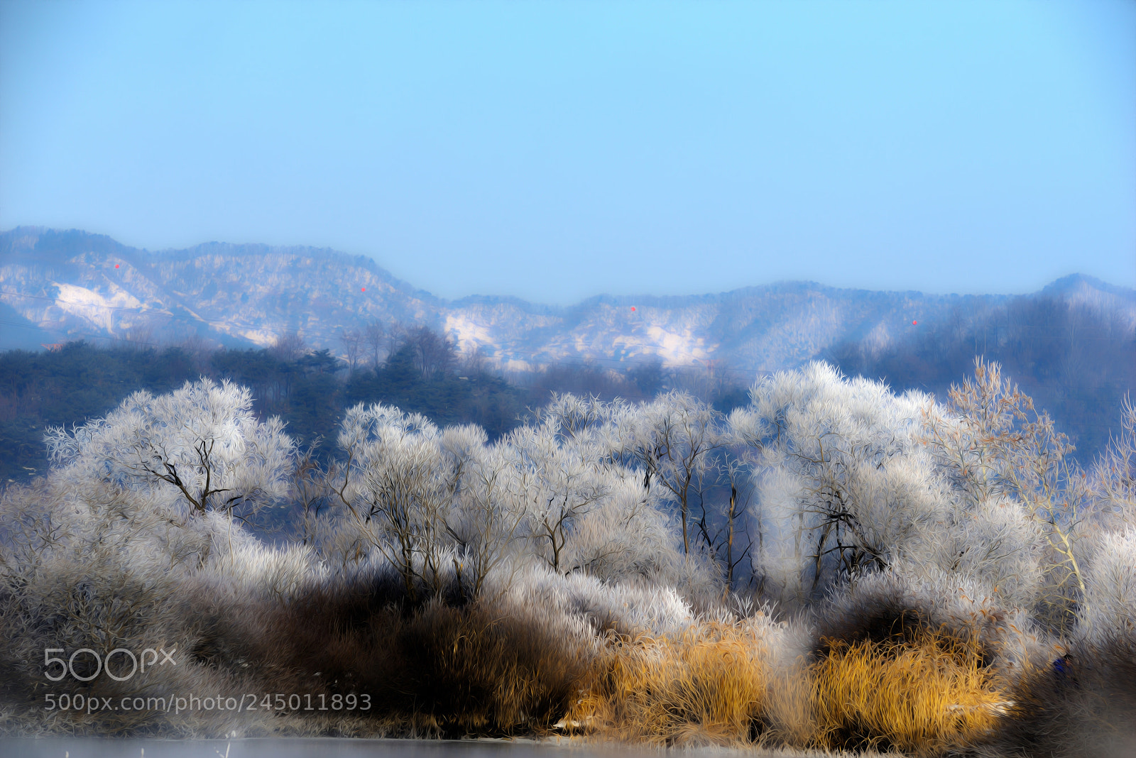 Nikon D800 sample photo. Kcj_9220-1.jpg photography