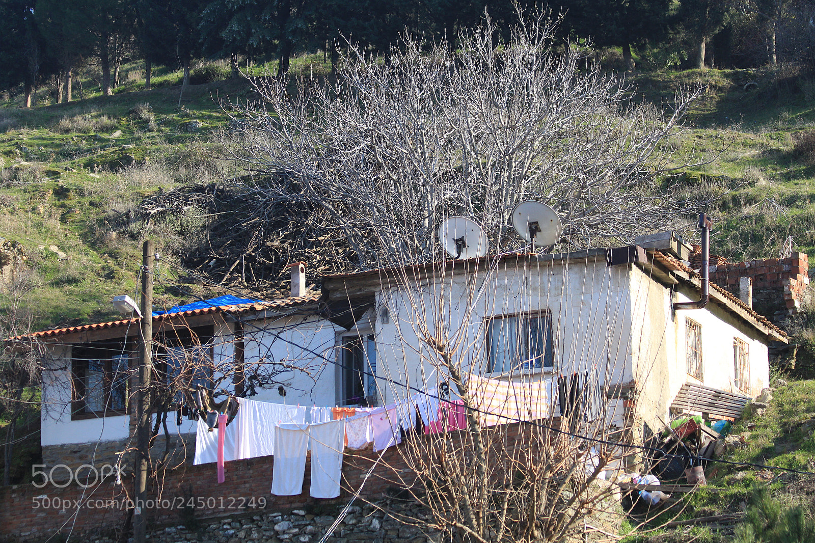 Canon EOS 650D (EOS Rebel T4i / EOS Kiss X6i) sample photo. Natural life in sirince photography