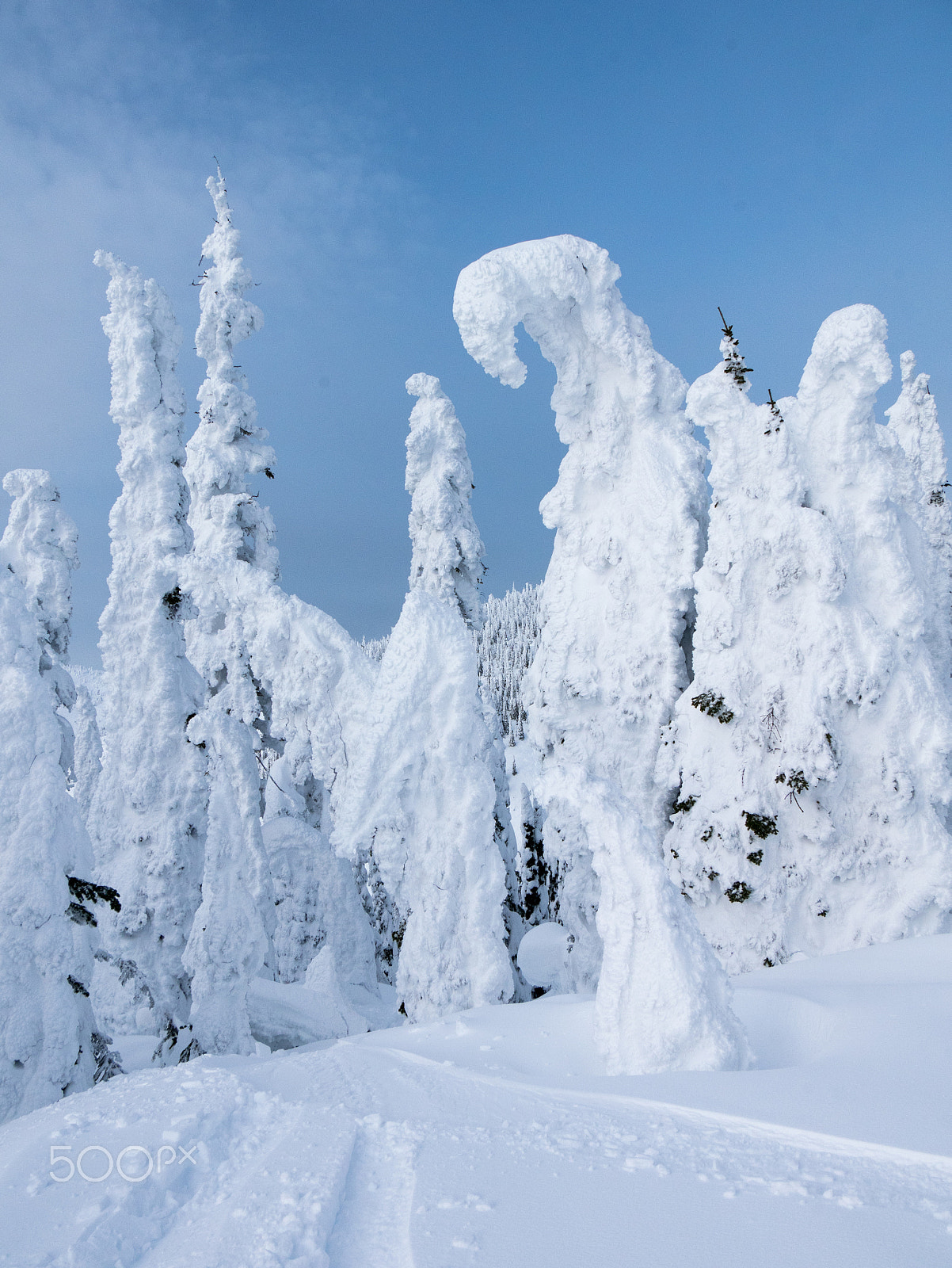 Panasonic Lumix DMC-GM5 sample photo. Snow ghosts at whitefish mountain photography