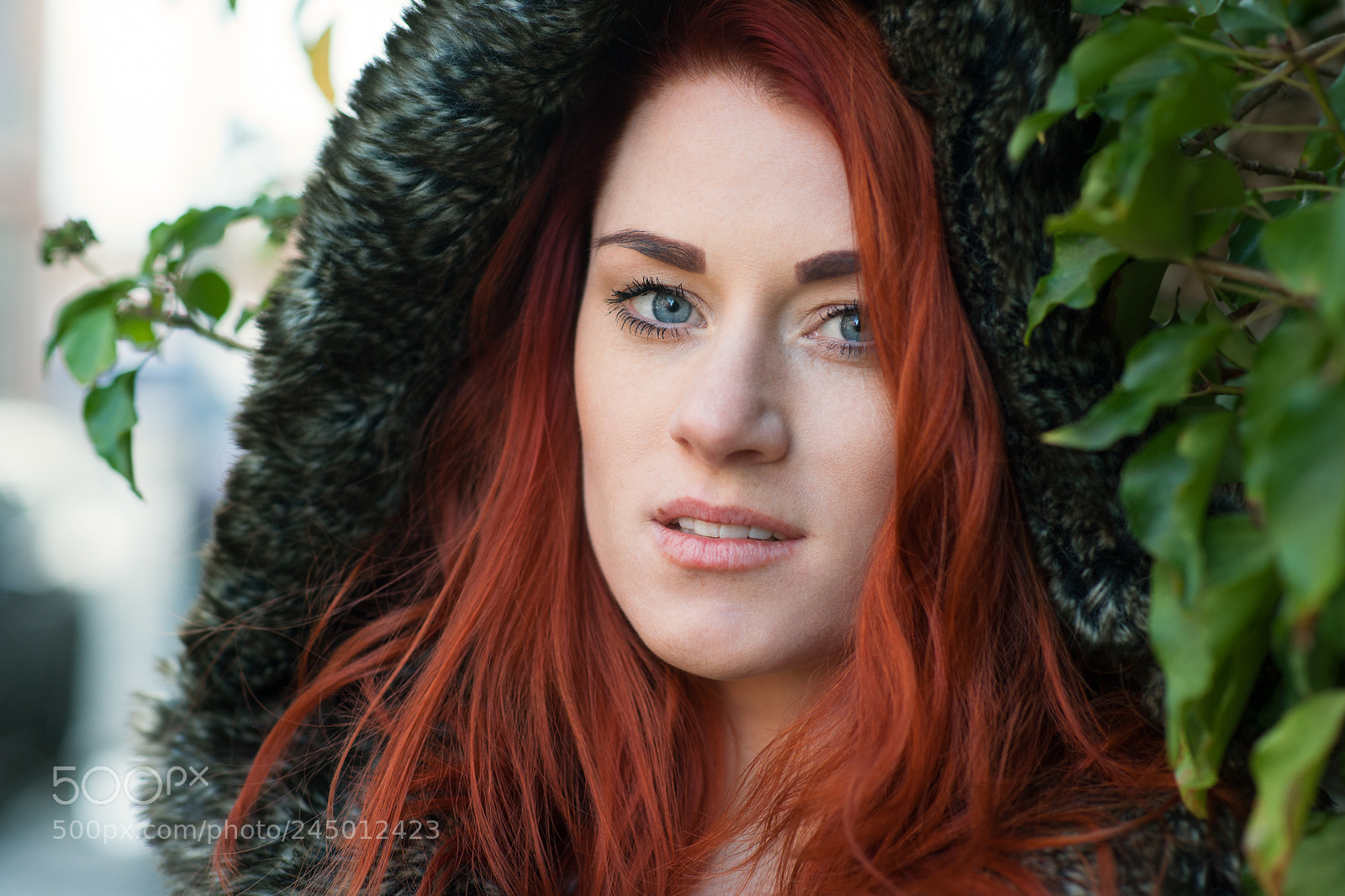 Sony Alpha DSLR-A900 sample photo. Red riding hood photography