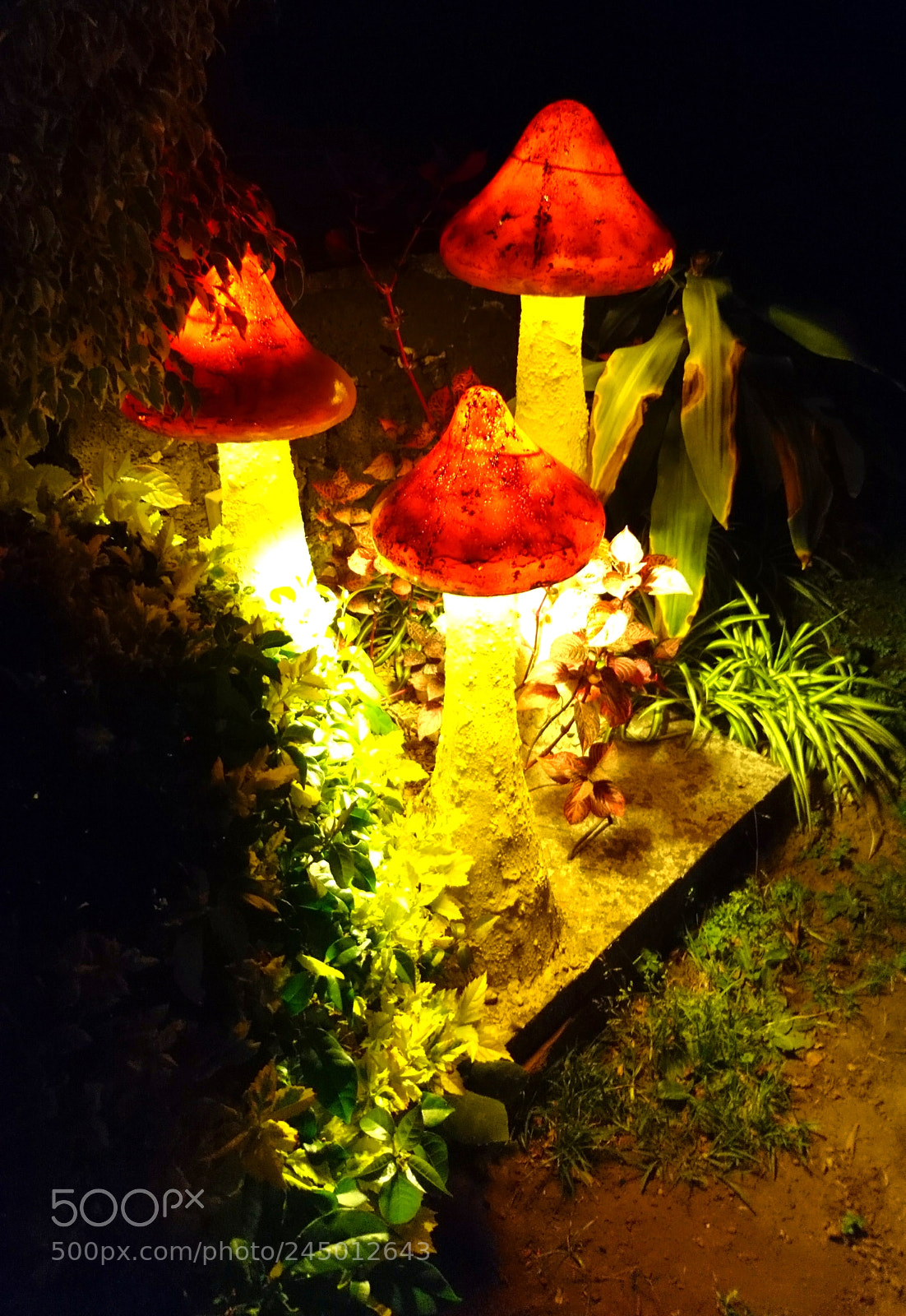 Sony Xperia X sample photo. Funny friends photography
