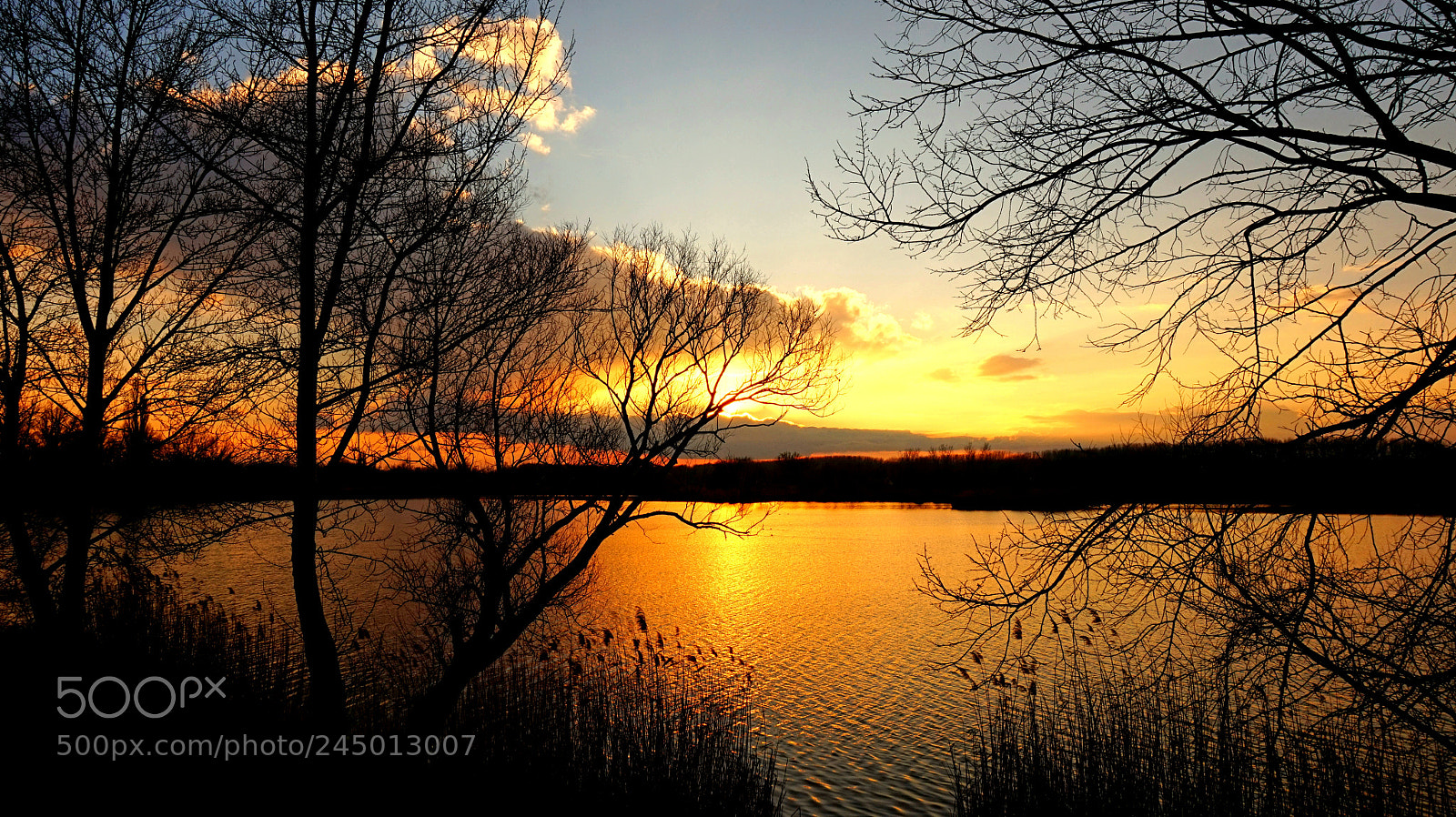 Sony Alpha a5000 (ILCE 5000) sample photo. Golden moments ... photography