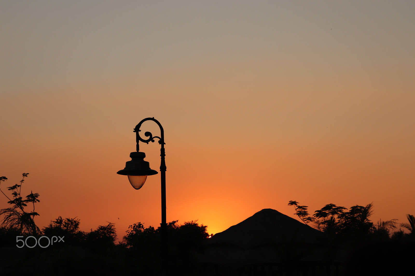 Canon EOS 77D (EOS 9000D / EOS 770D) sample photo. Img photography