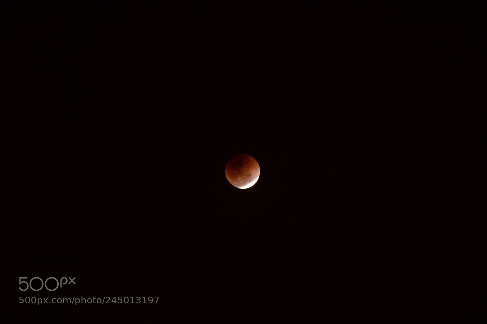 Nikon D7100 sample photo. Red moon photography