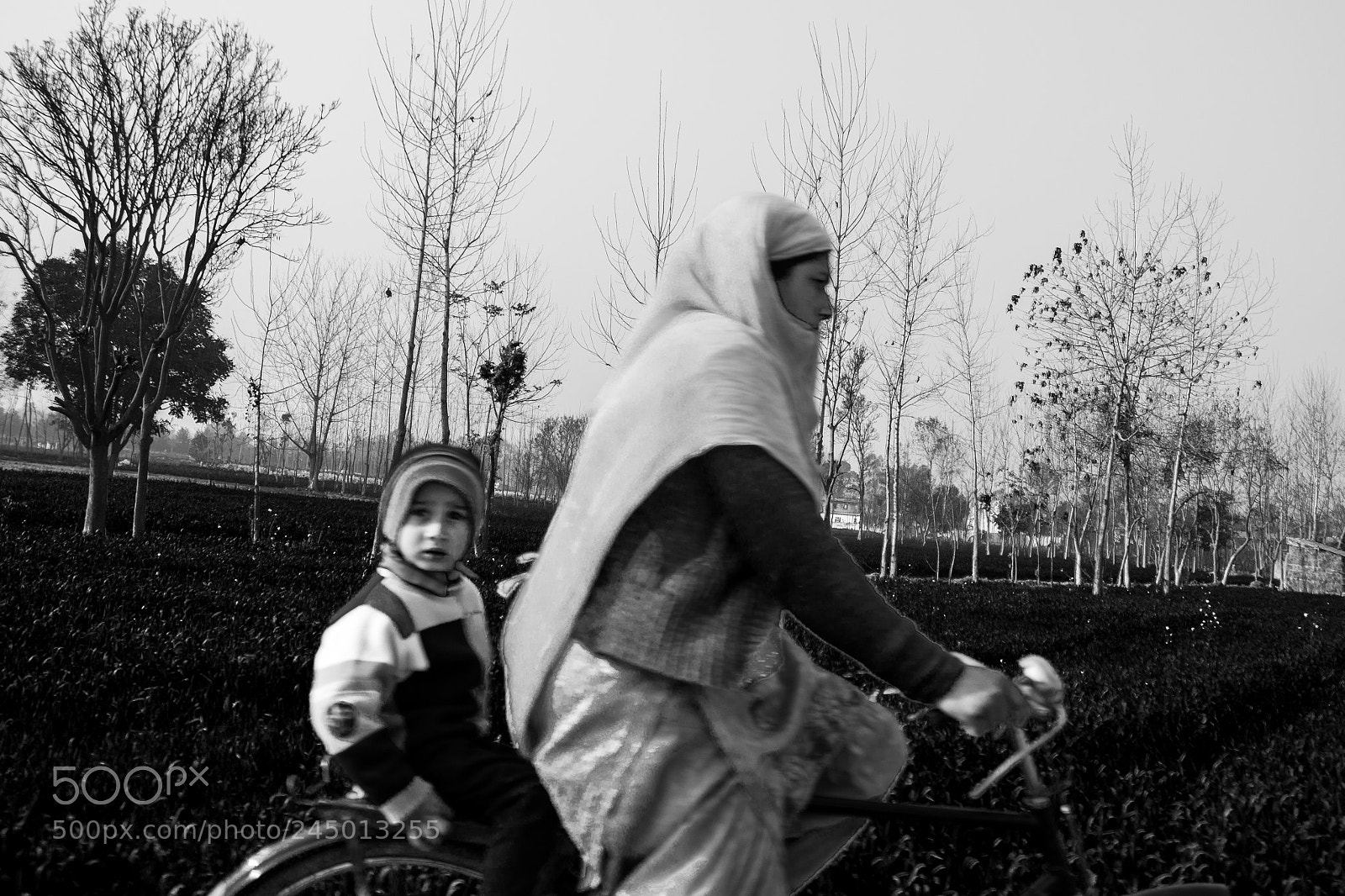 Canon EOS 550D (EOS Rebel T2i / EOS Kiss X4) sample photo. Country side photography