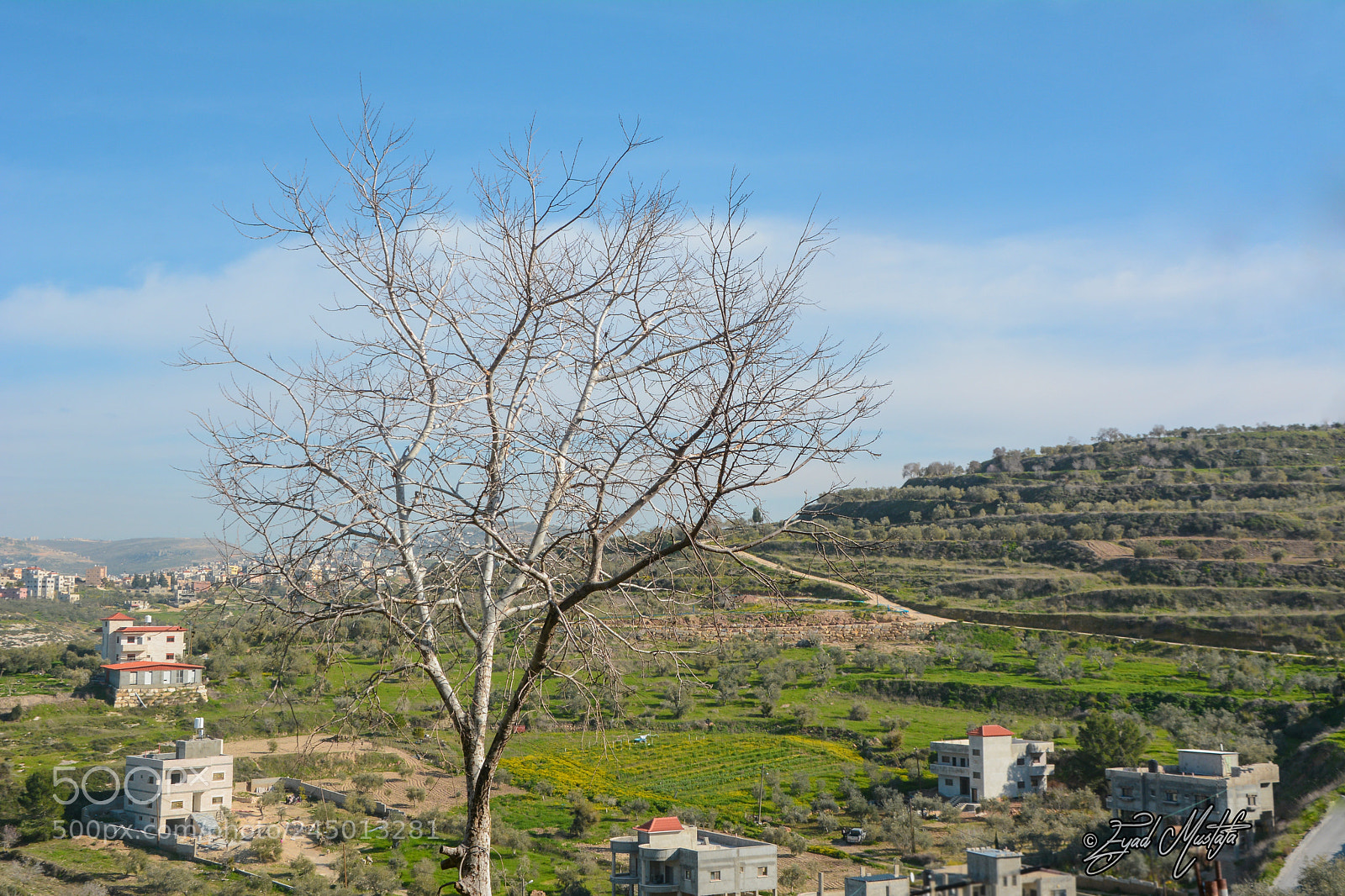 Nikon D7100 sample photo. Spring weather in palestine photography