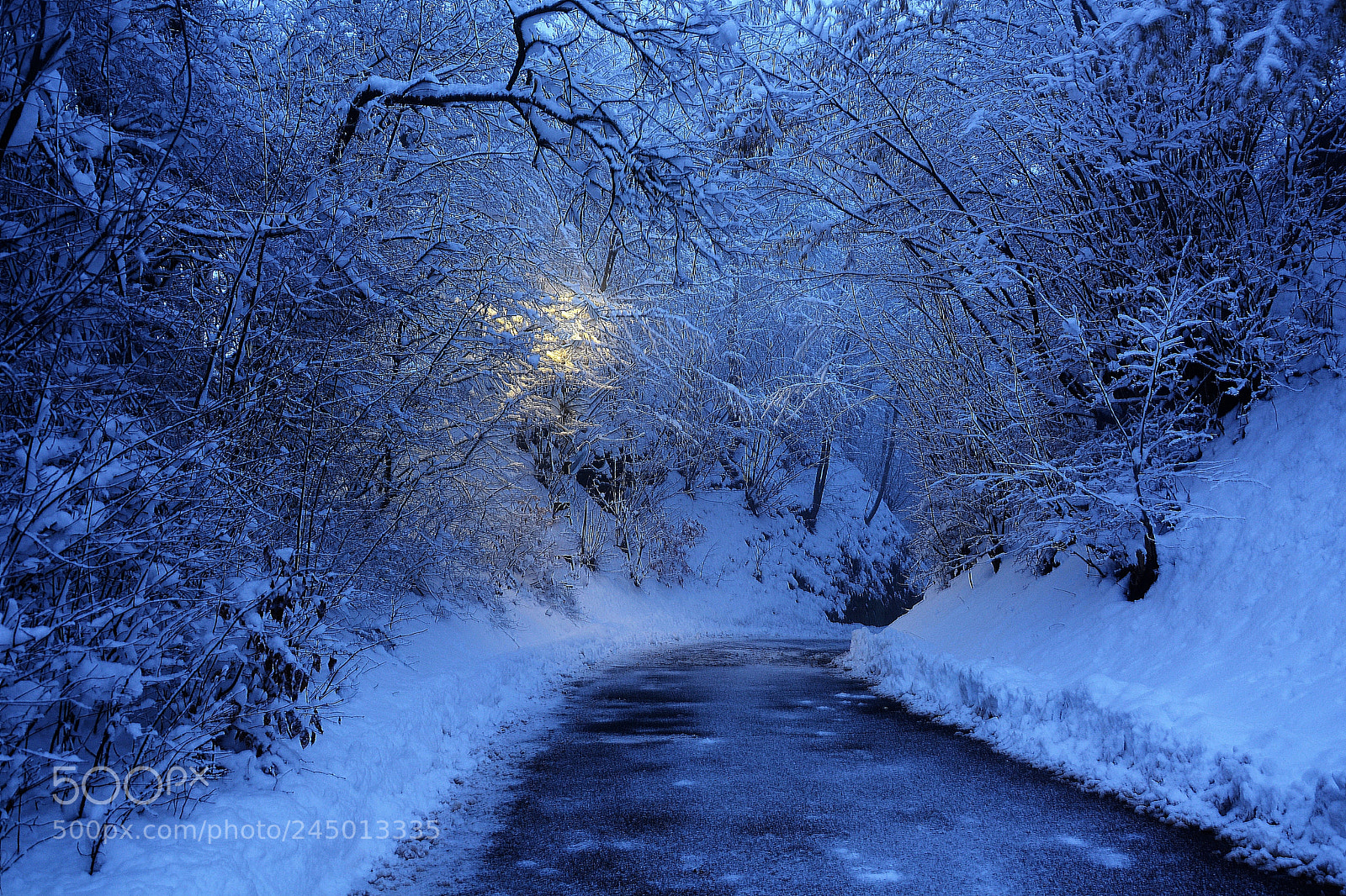 Nikon D7100 sample photo. A snowy morning photography
