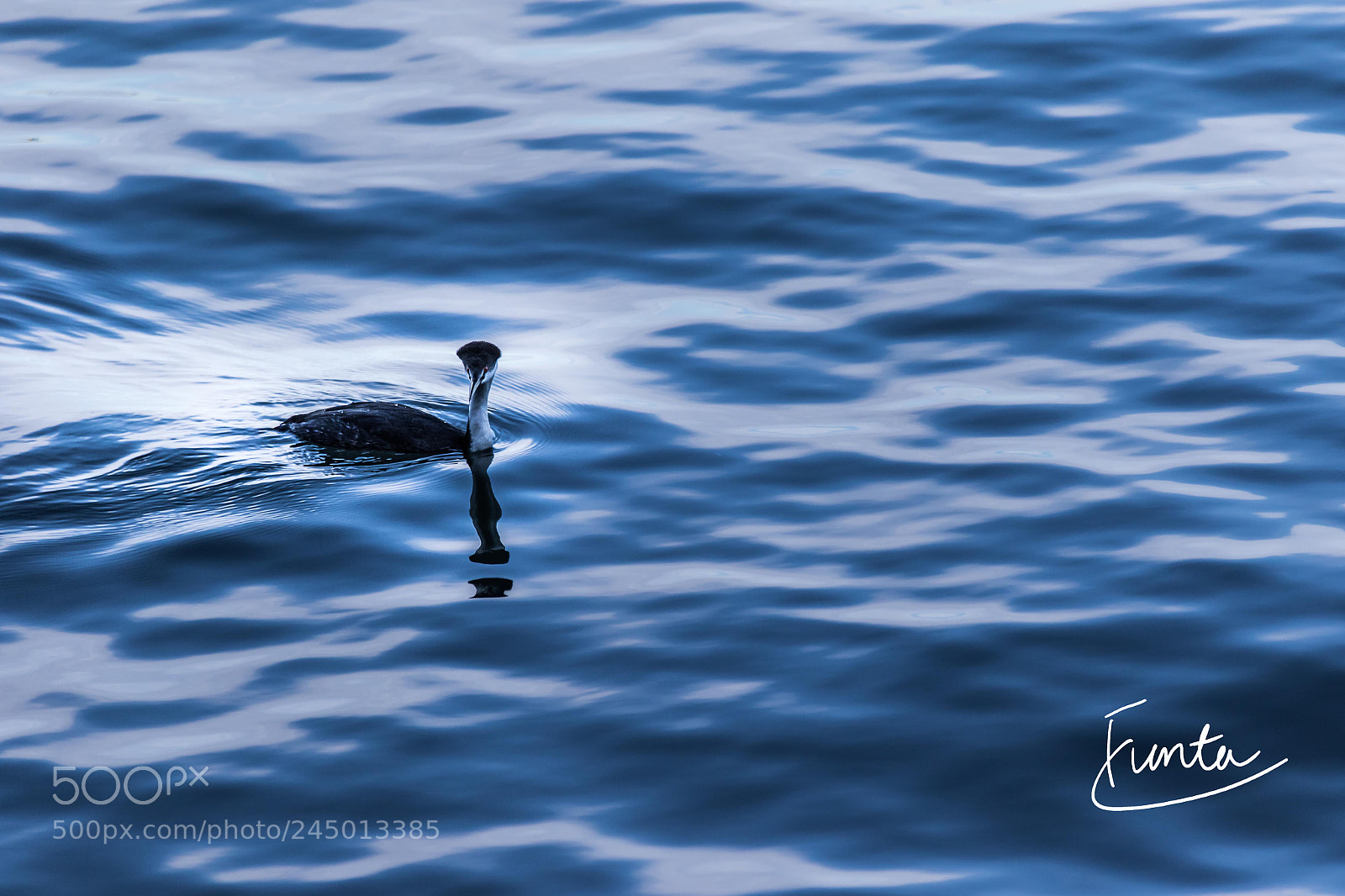 Canon EOS 7D Mark II sample photo. Blue photography