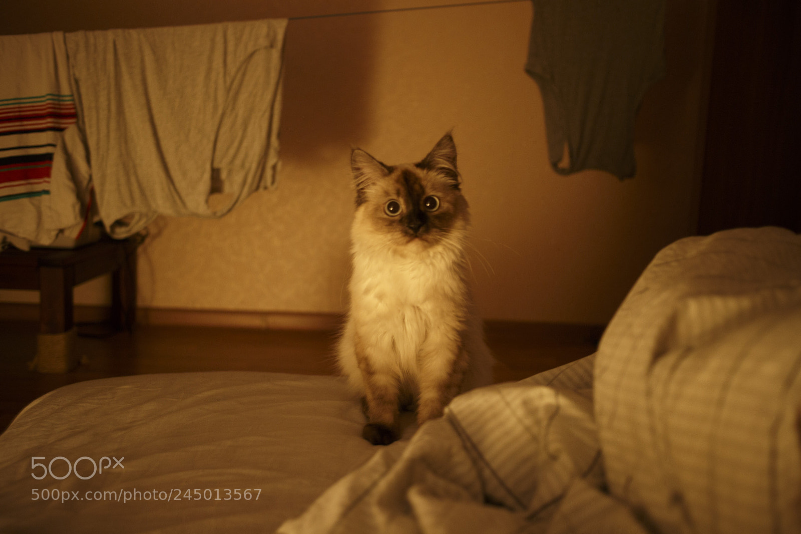 Canon EOS M sample photo. Img photography