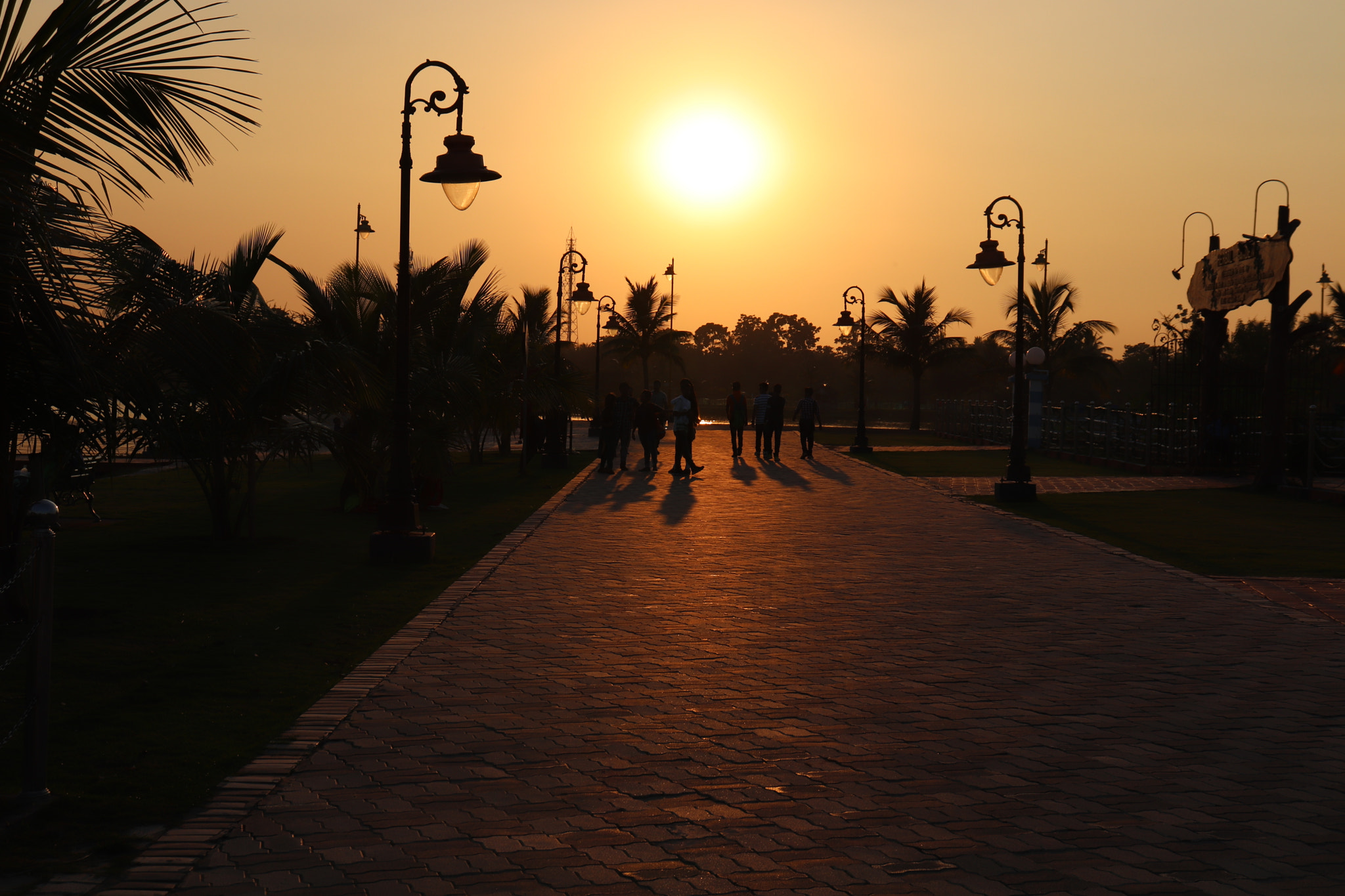 Canon EOS 77D (EOS 9000D / EOS 770D) sample photo. #shadow of nature(a.panja) photography