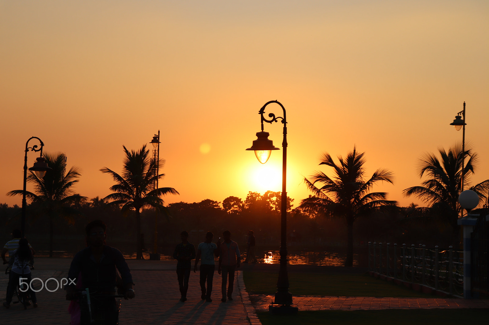 Canon EOS 77D (EOS 9000D / EOS 770D) sample photo. Img photography
