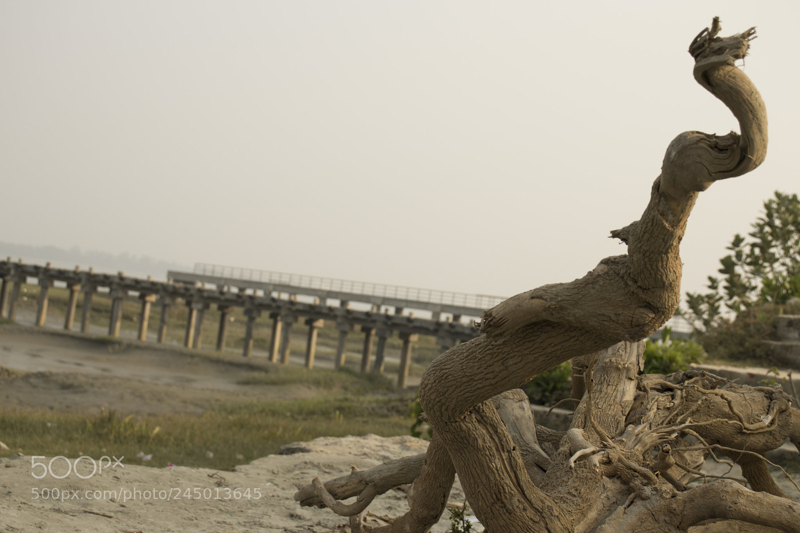 Canon EOS 77D (EOS 9000D / EOS 770D) sample photo. A photography