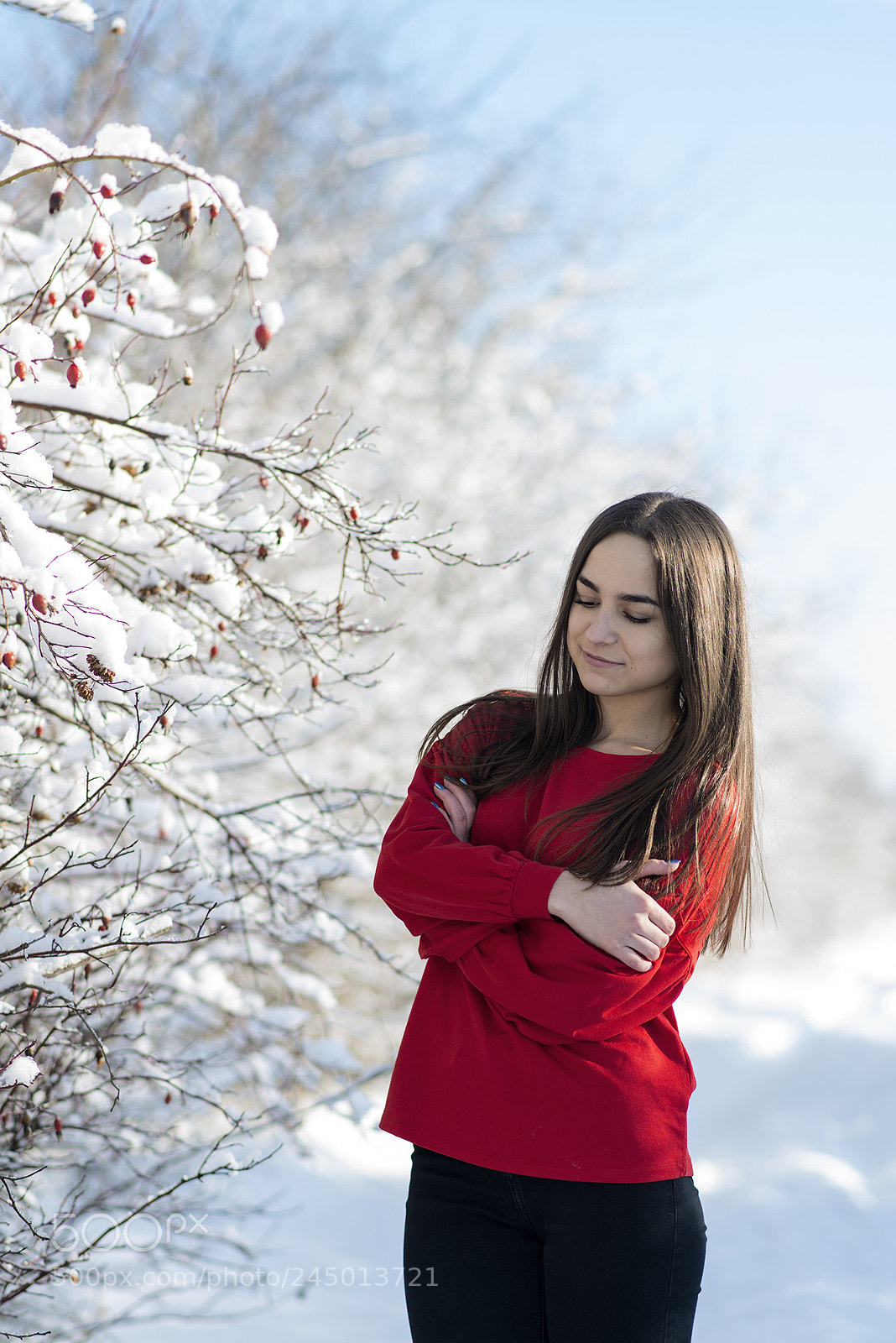 Nikon D800 sample photo. Russian winter photography