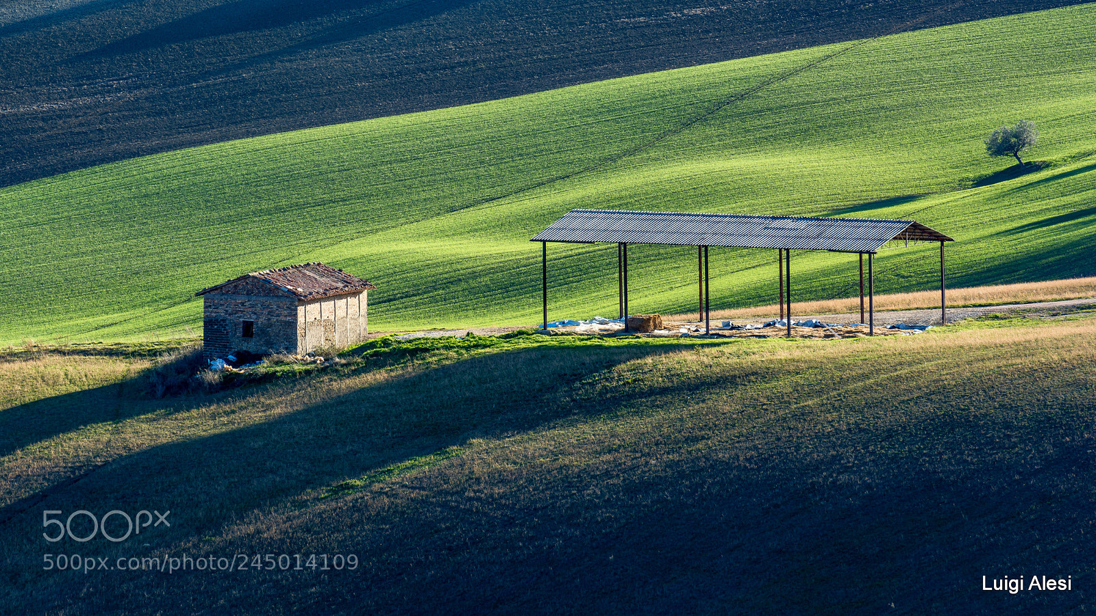 Nikon D7100 sample photo. Marche countryside photography