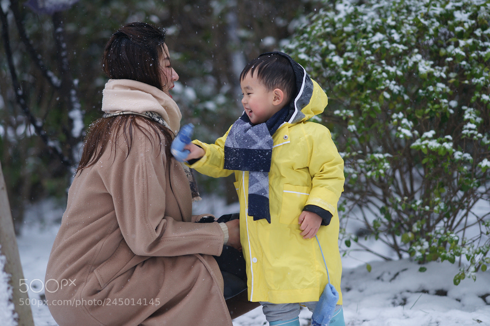 Sony Alpha DSLR-A850 sample photo. Untitled photography