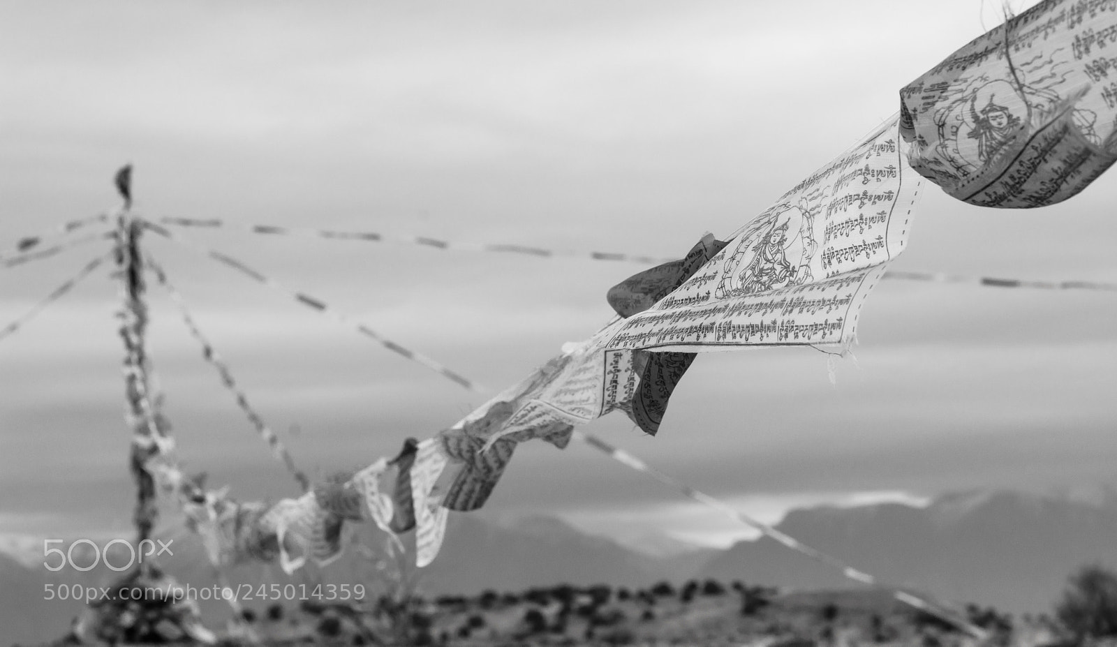 Nikon D7200 sample photo. Dat flag do photography