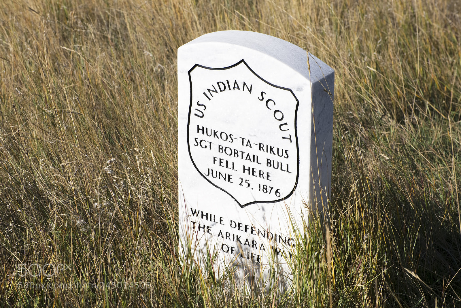 Nikon D600 sample photo. Indian scout (1) photography