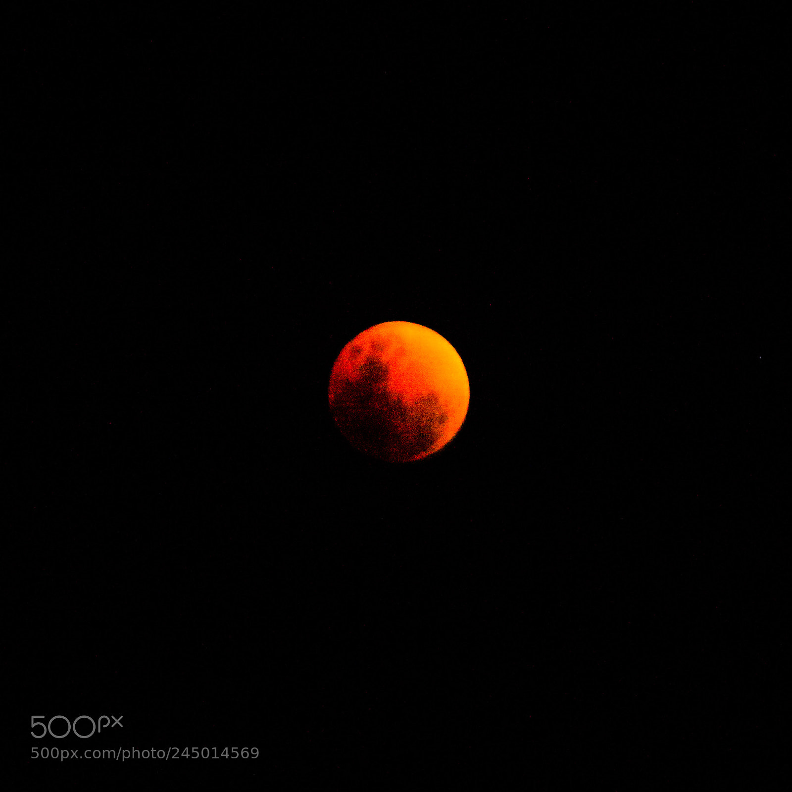 Panasonic Lumix DMC-GF1 sample photo. Super blue blood moon photography