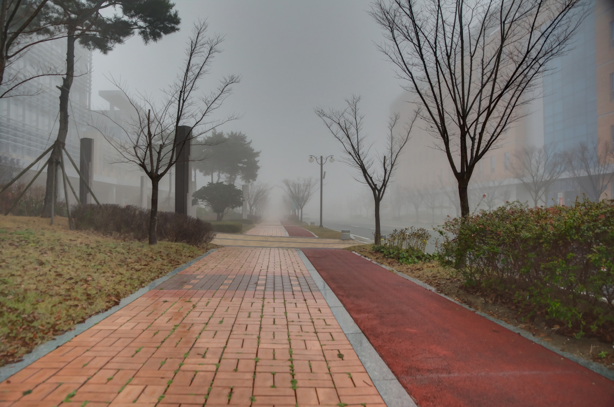 Nikon D7200 sample photo. The foggy path photography