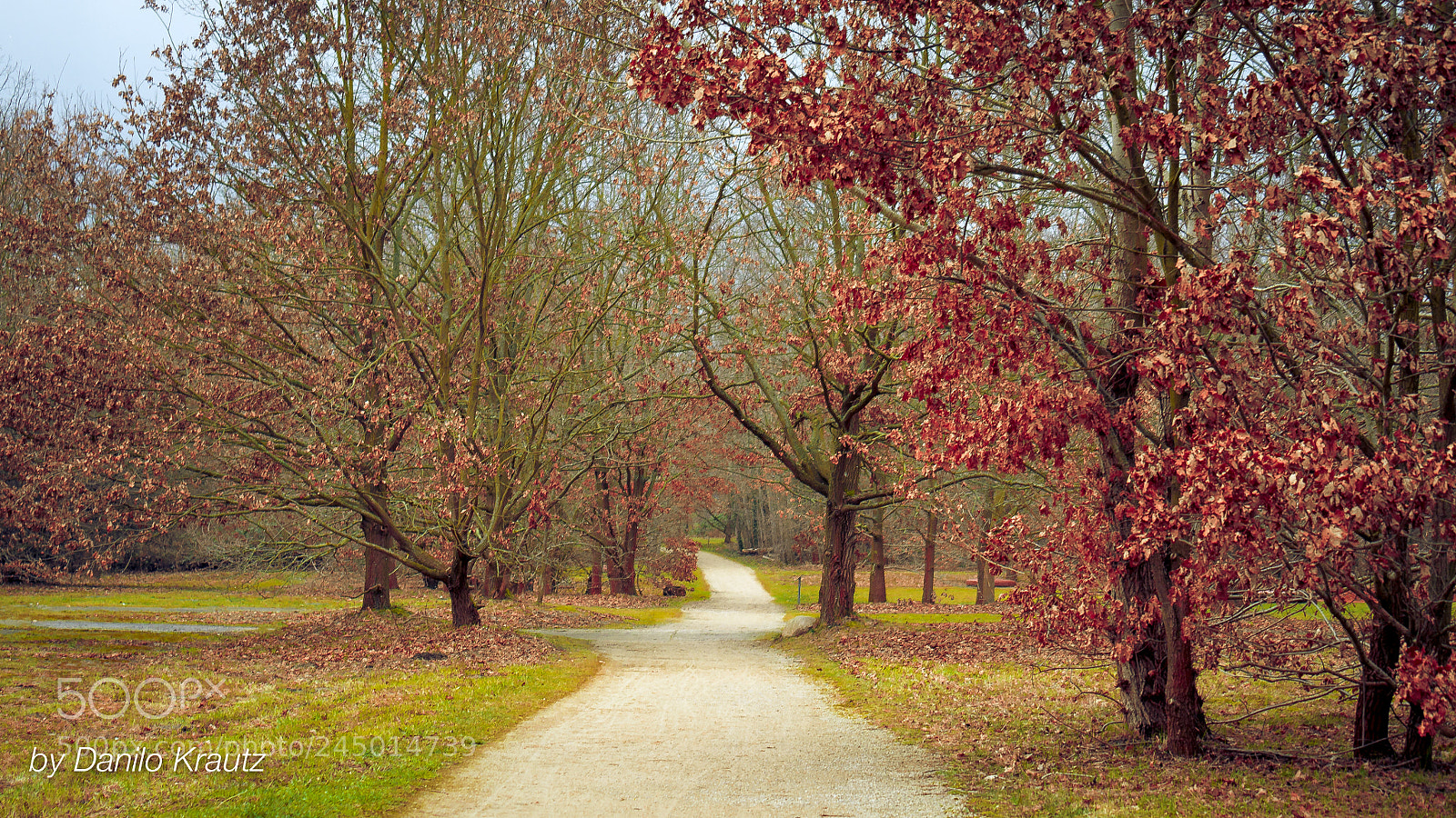 Panasonic Lumix DMC-G6 sample photo. Volkspark potsdam photography