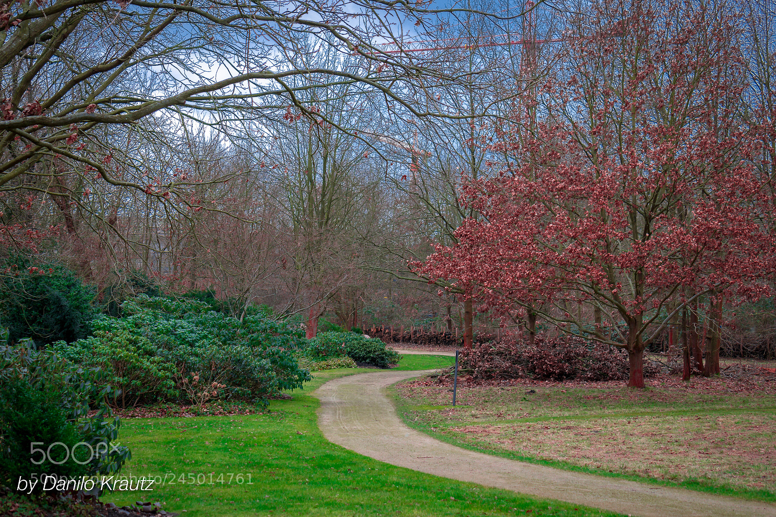 Panasonic Lumix DMC-G6 sample photo. Volkspark potsdam photography