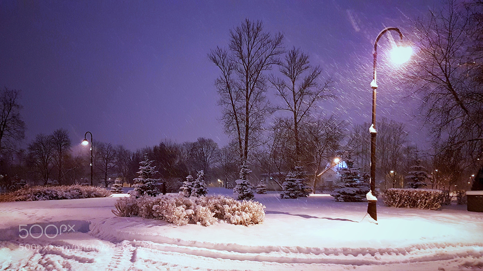 Samsung Galaxy S7 Edge sample photo. Morning snowstorm photography